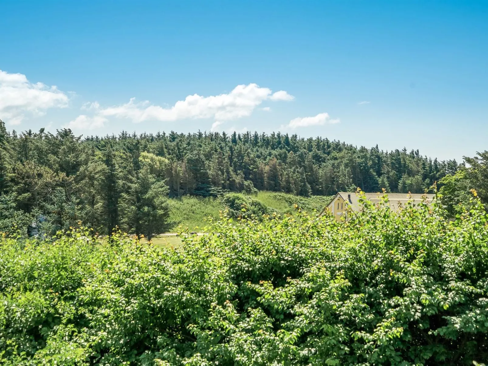 "Tuke" - 400m from the sea-Buiten