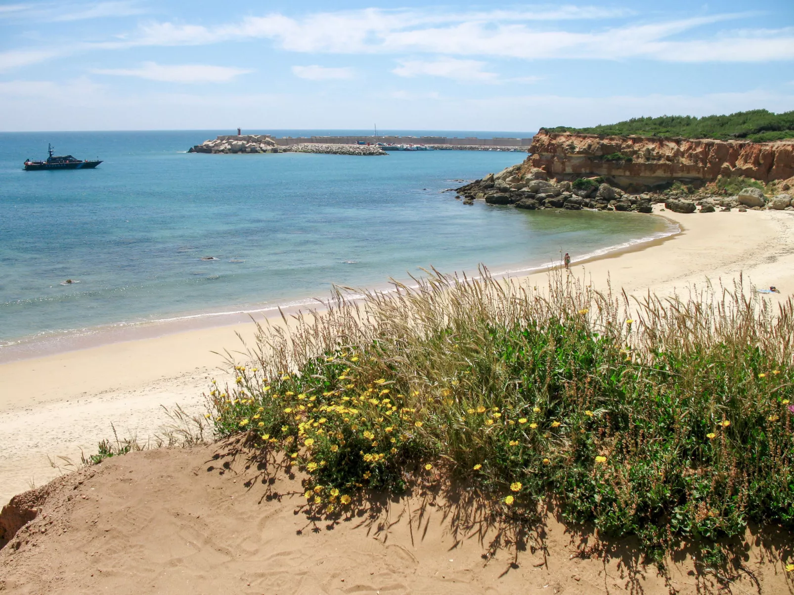 De Piedra-Omgeving