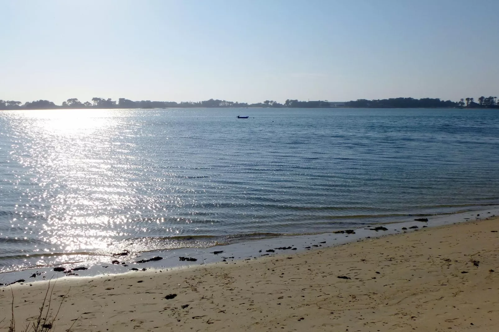 In direkter Meerlage Ebenerdige Ferienwohnung Roscoff-Gebieden zomer 1km