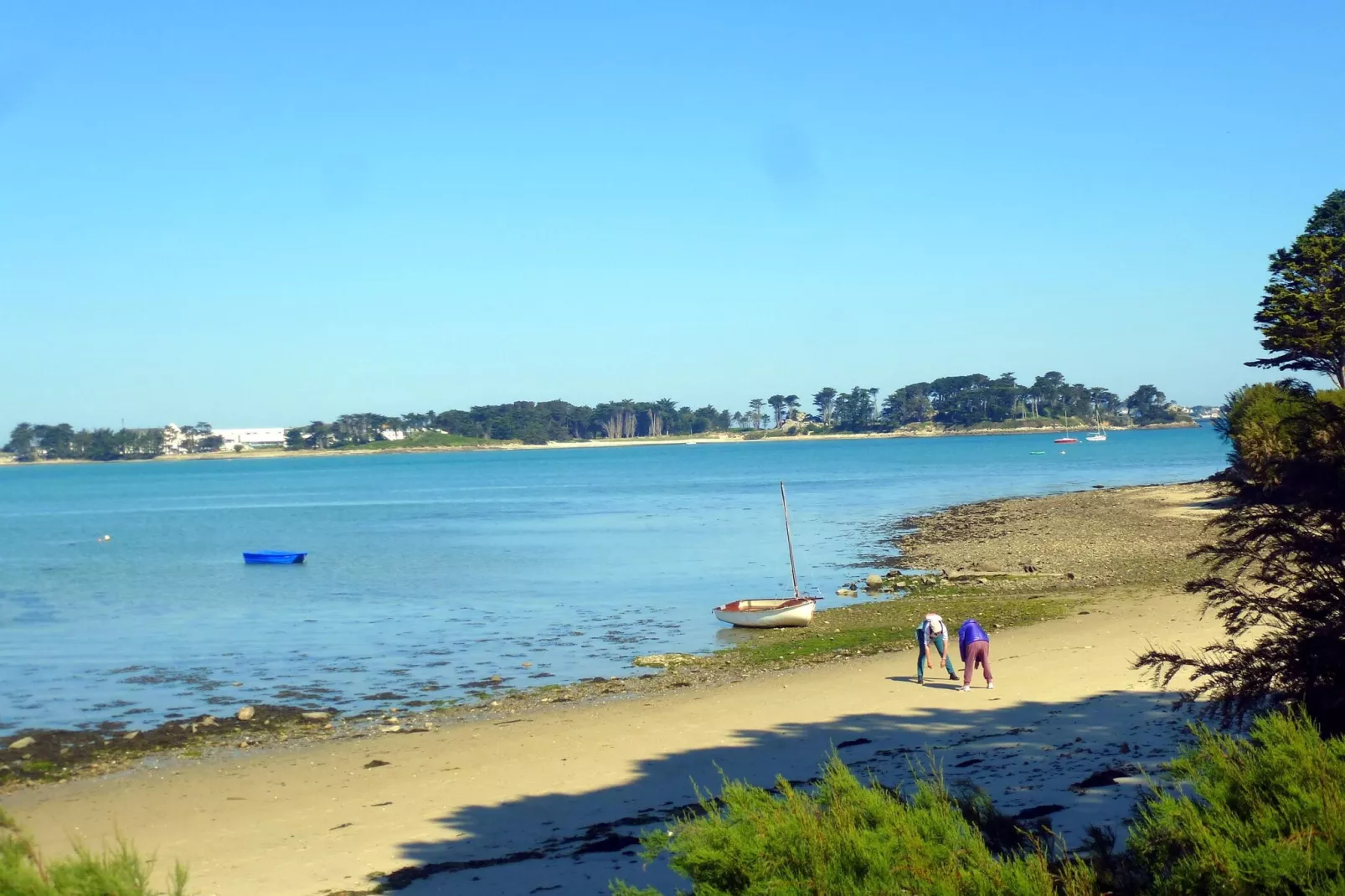 In direkter Meerlage Ebenerdige Ferienwohnung Roscoff-Gebieden zomer 1km