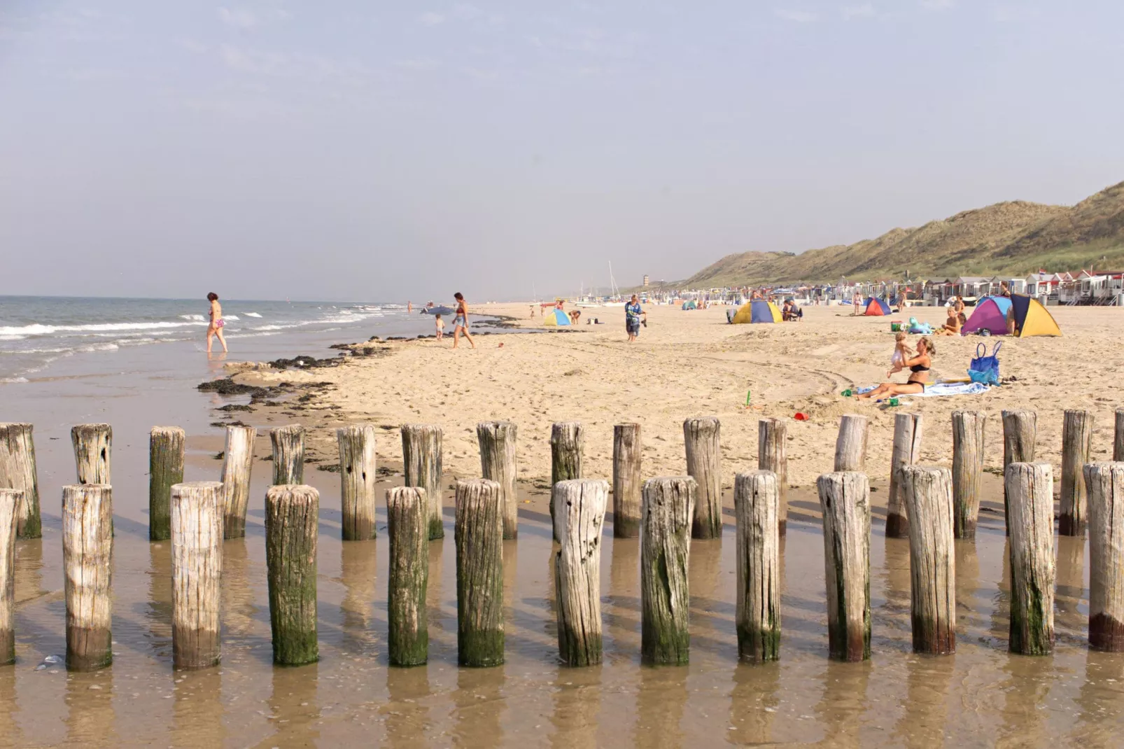 Noordzee Résidence Dishoek 12-Gebieden zomer 5km