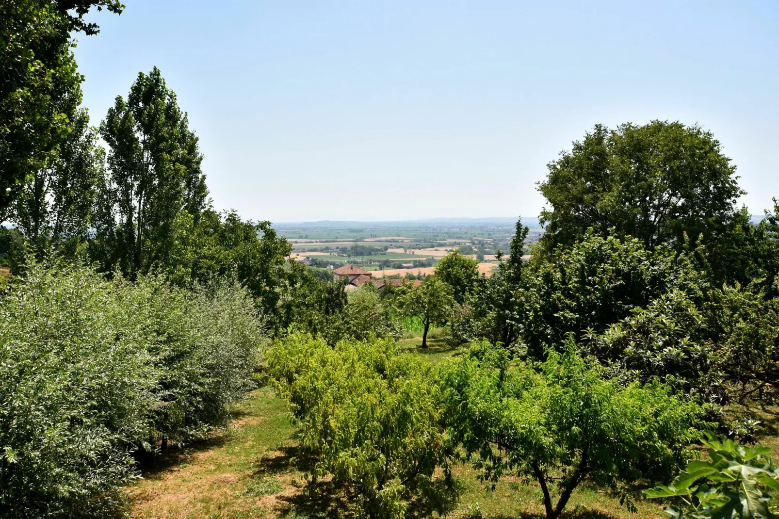 Antica Residenza-Uitzicht zomer