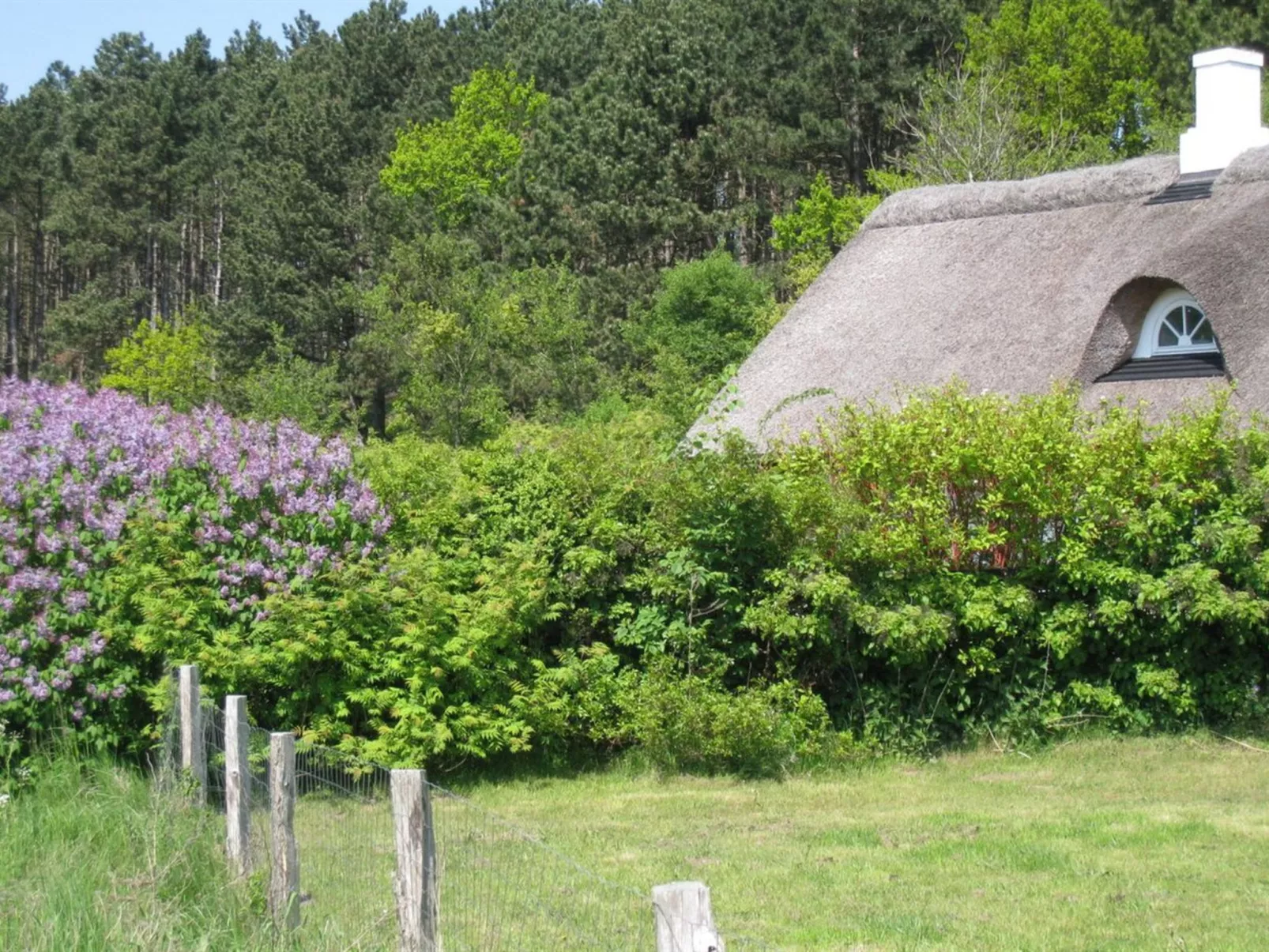 "Eva" - 1.5km to the inlet-Buiten