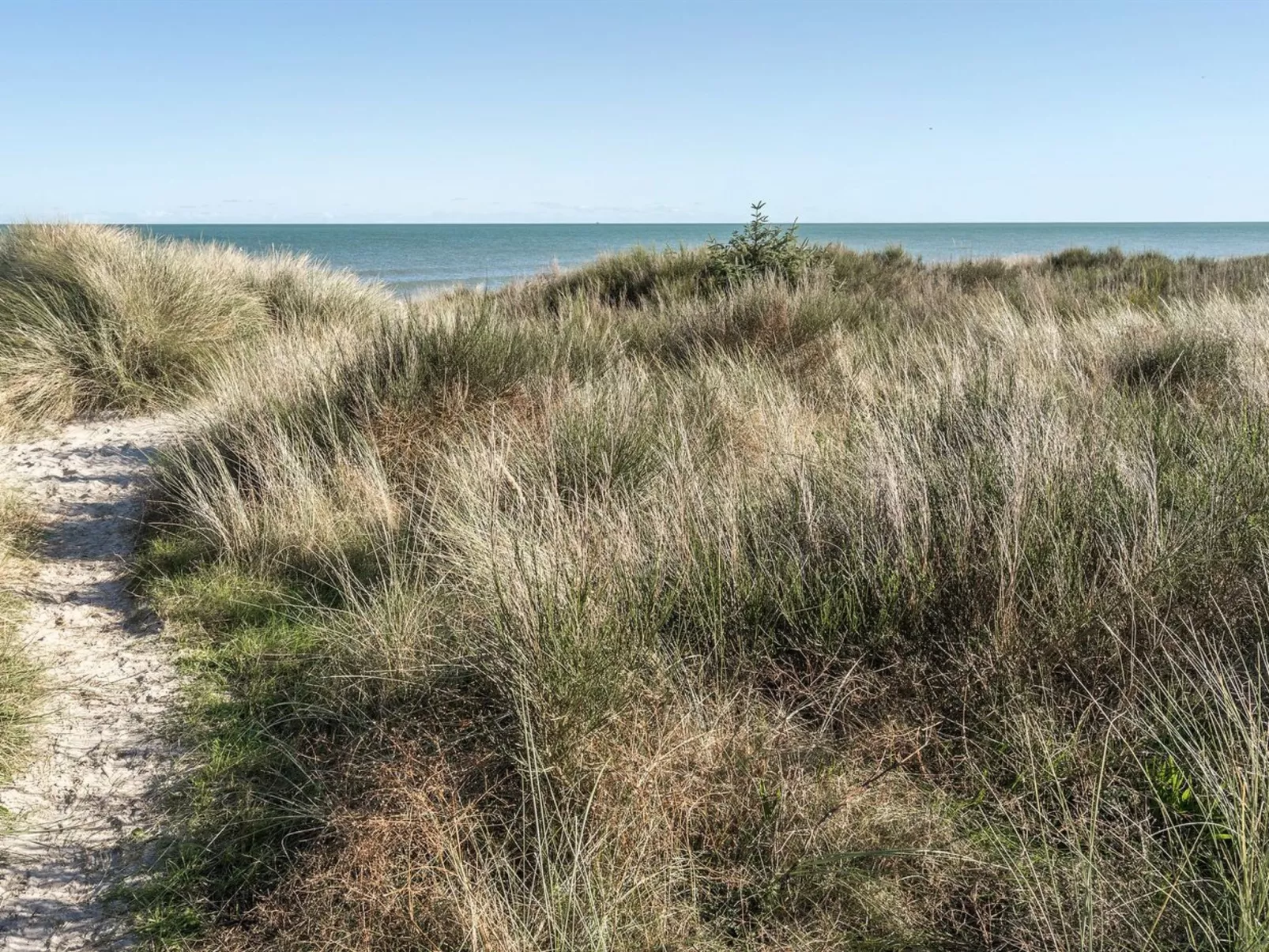 "Jeldrik" - 100m from the sea-Buiten