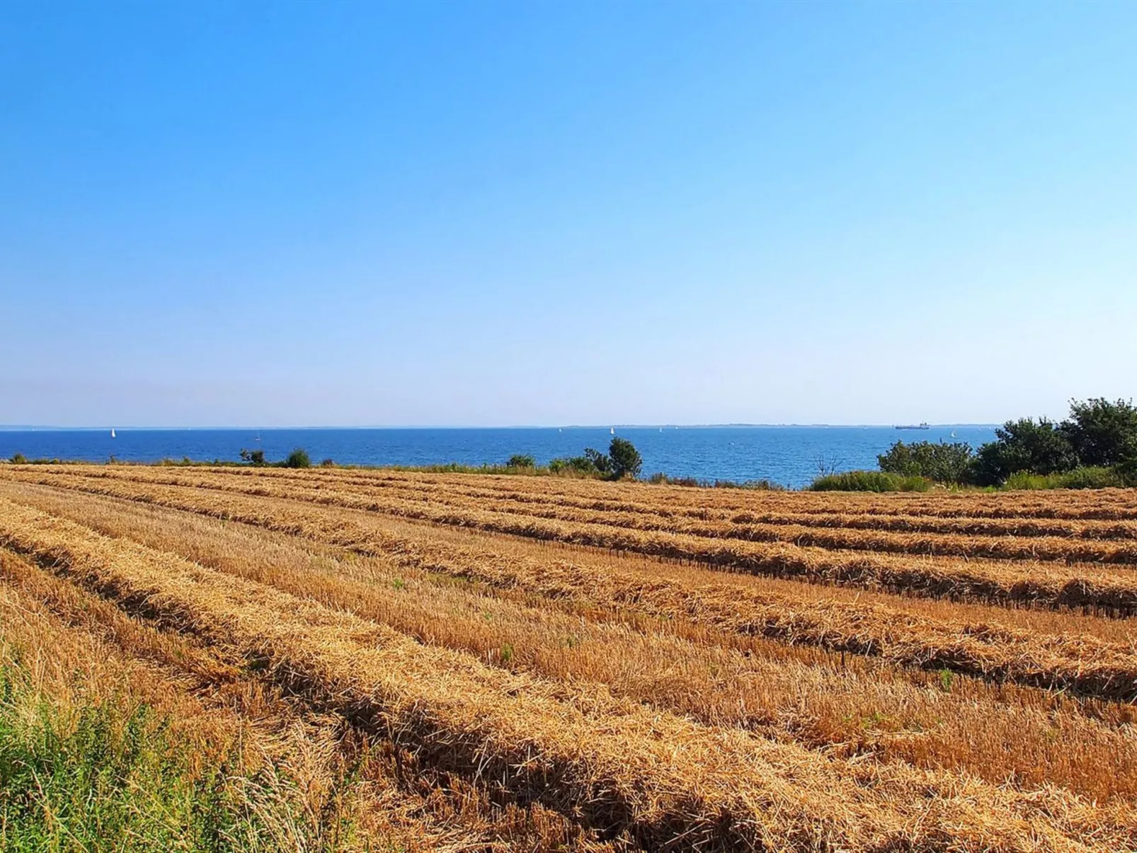 "Haraldine" - 250m from the sea-Buiten