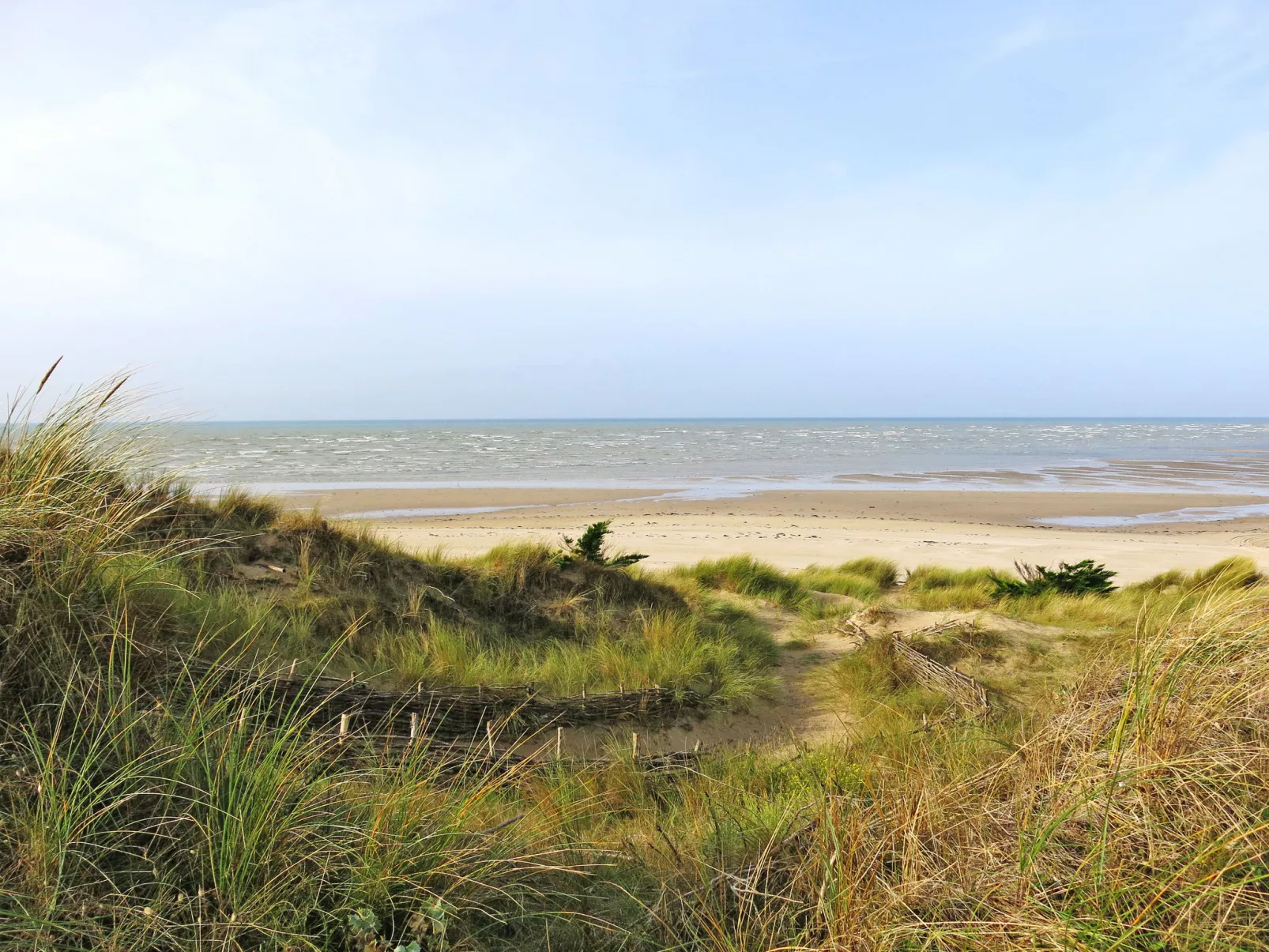 Zoé-Omgeving