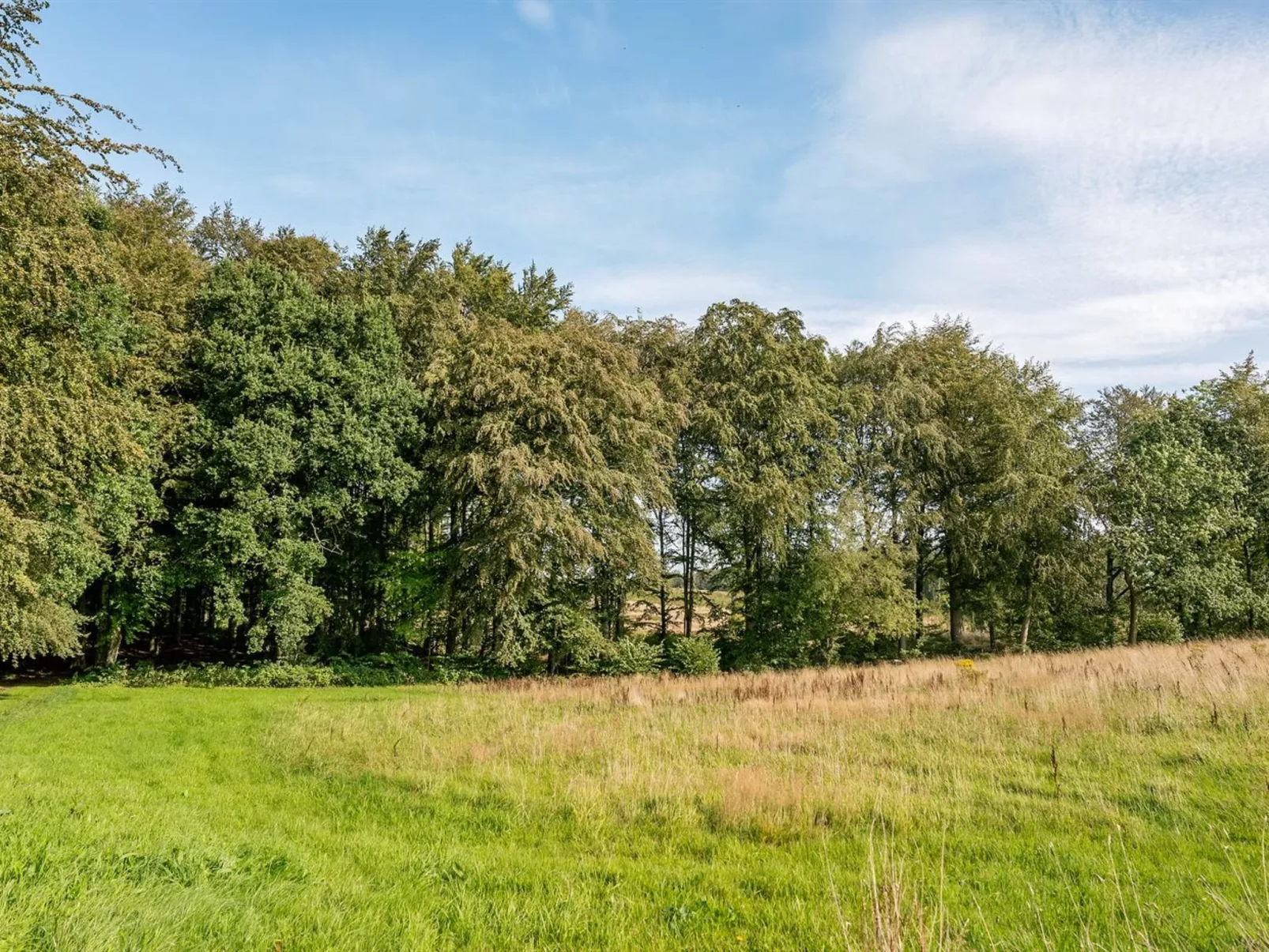 "Gjurgja" - 100m from the sea-Buiten
