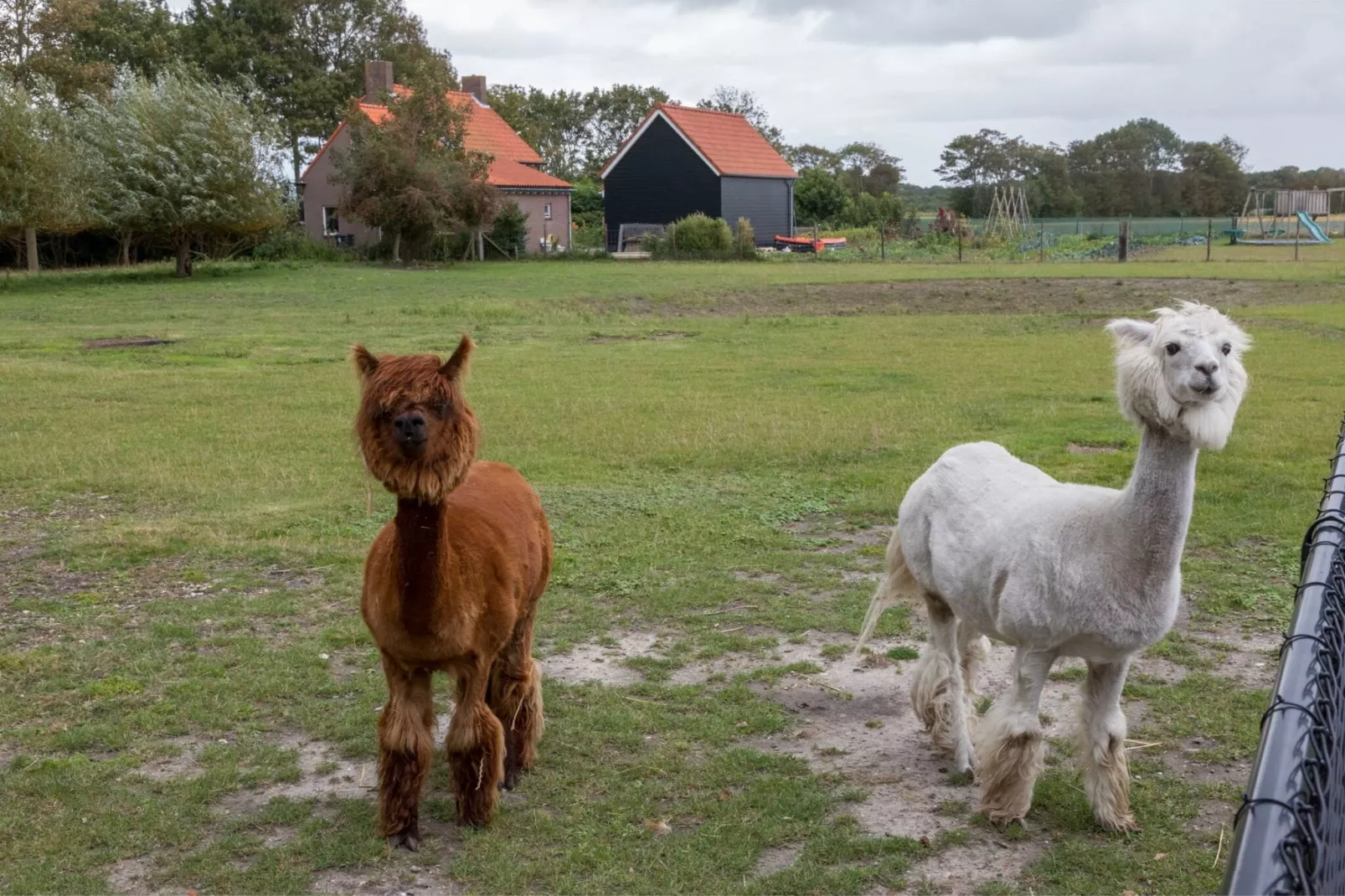 Vakantiehuis Groeneweg 3 'Jikkemien-Sfeer