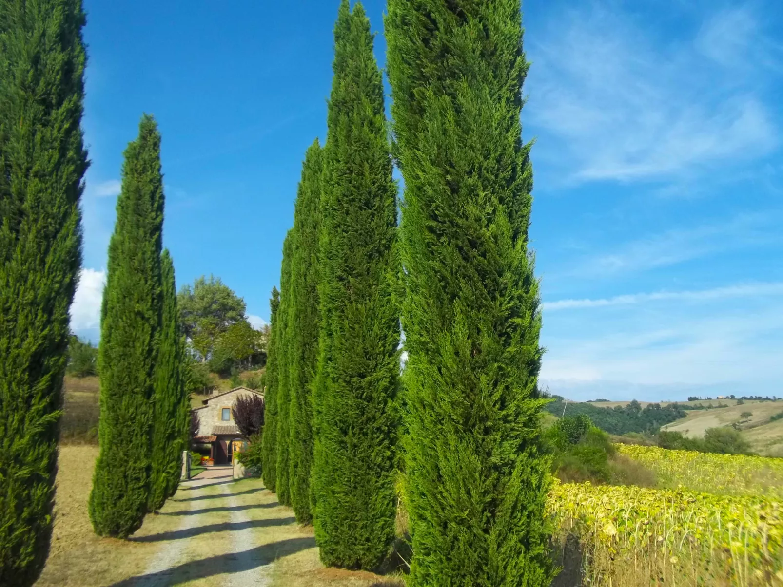 Podere Agnese-Buiten