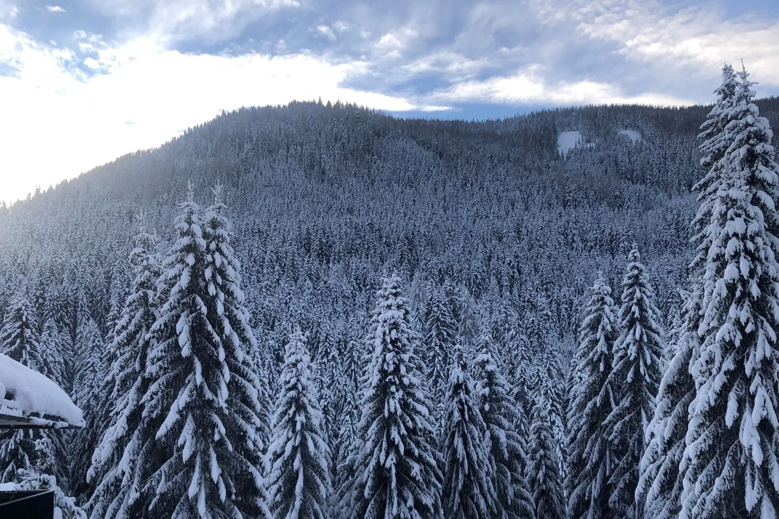 Apartment Mountain View-Exterieur winter