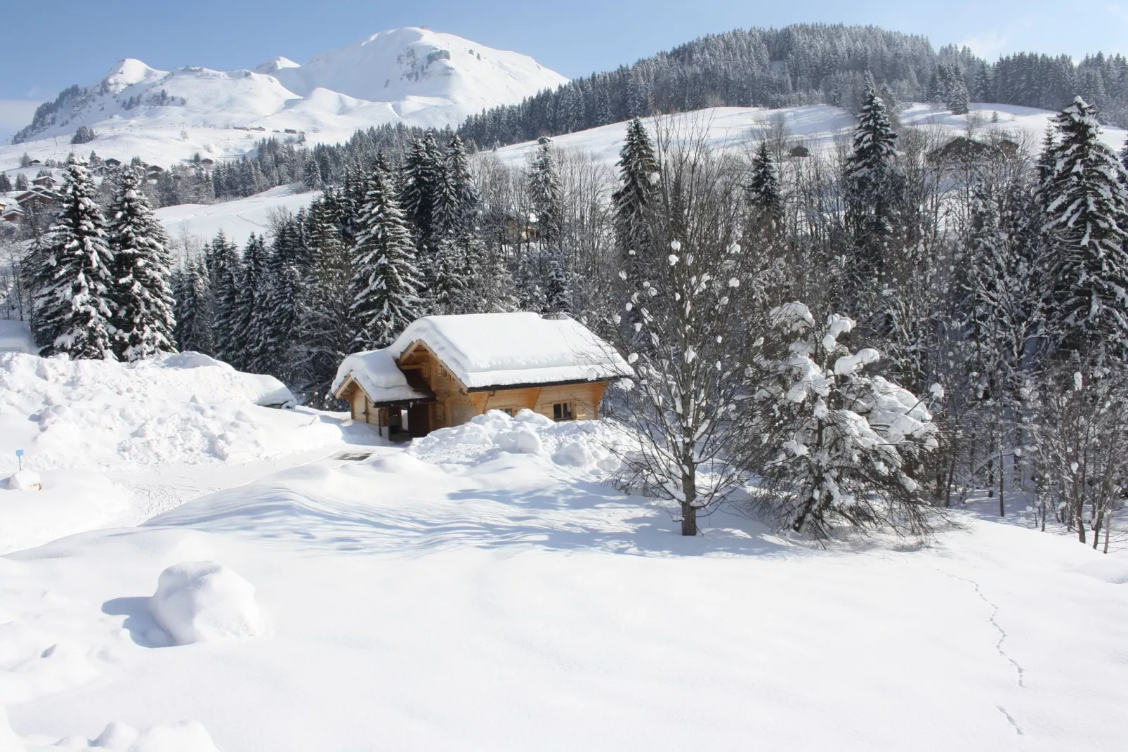 Idyllisch chalet in Le Chinaillon met sauna