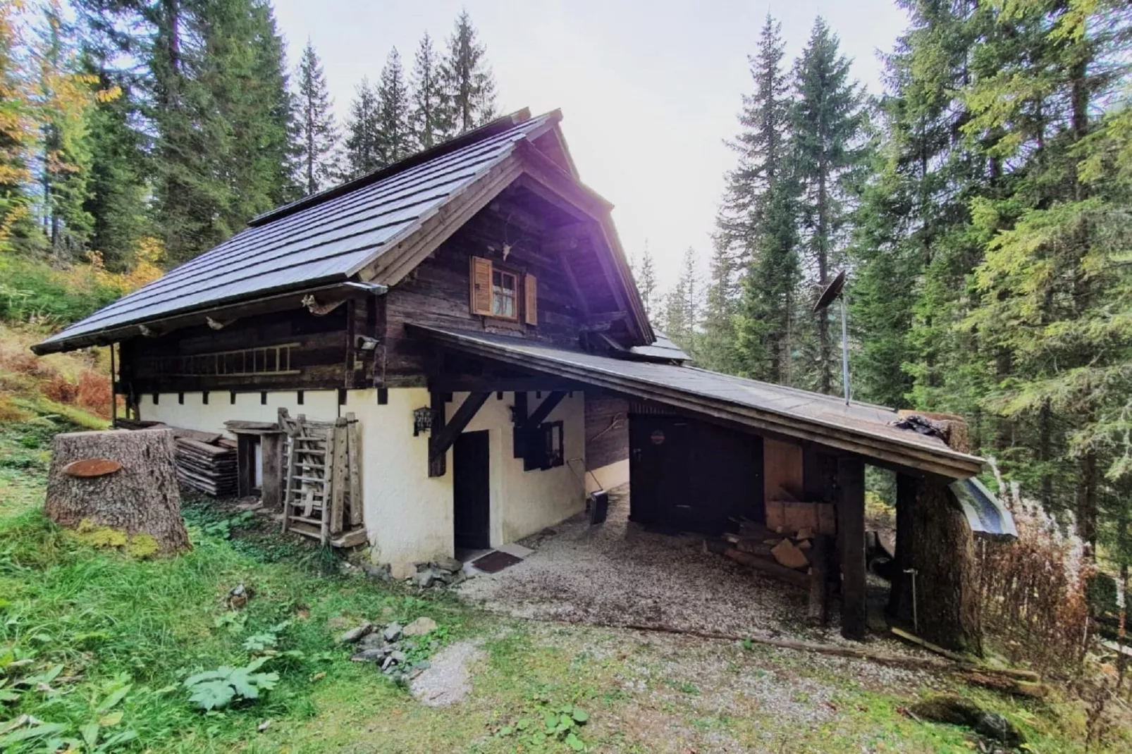 Chalet Hüttentraum-Faciliteiten
