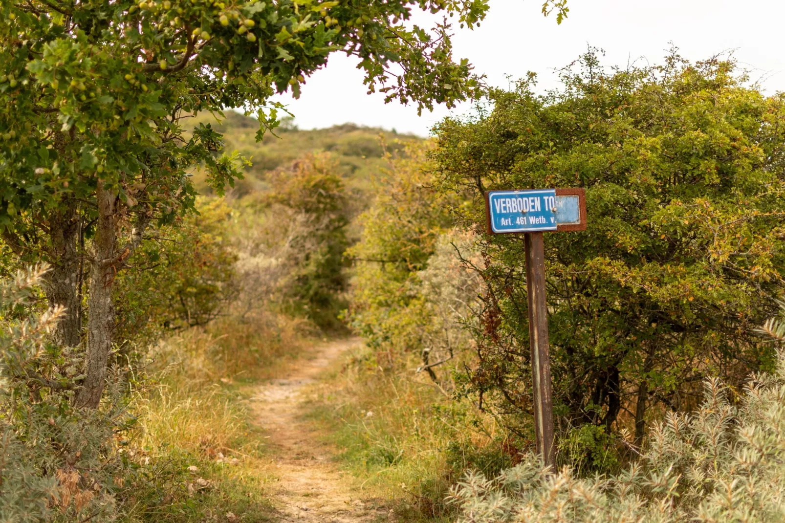 Vakantiepark Duinzicht 2-Gebieden zomer 5km