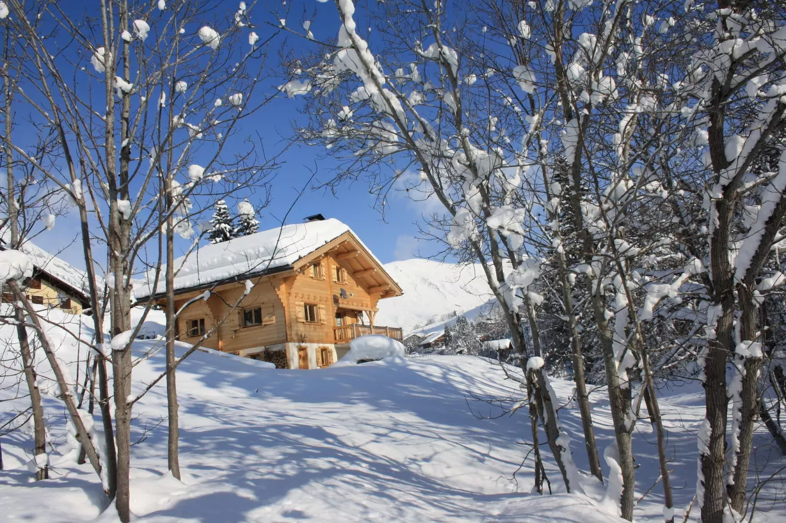 Idyllisch chalet in Le Chinaillon met sauna-Tuin winter