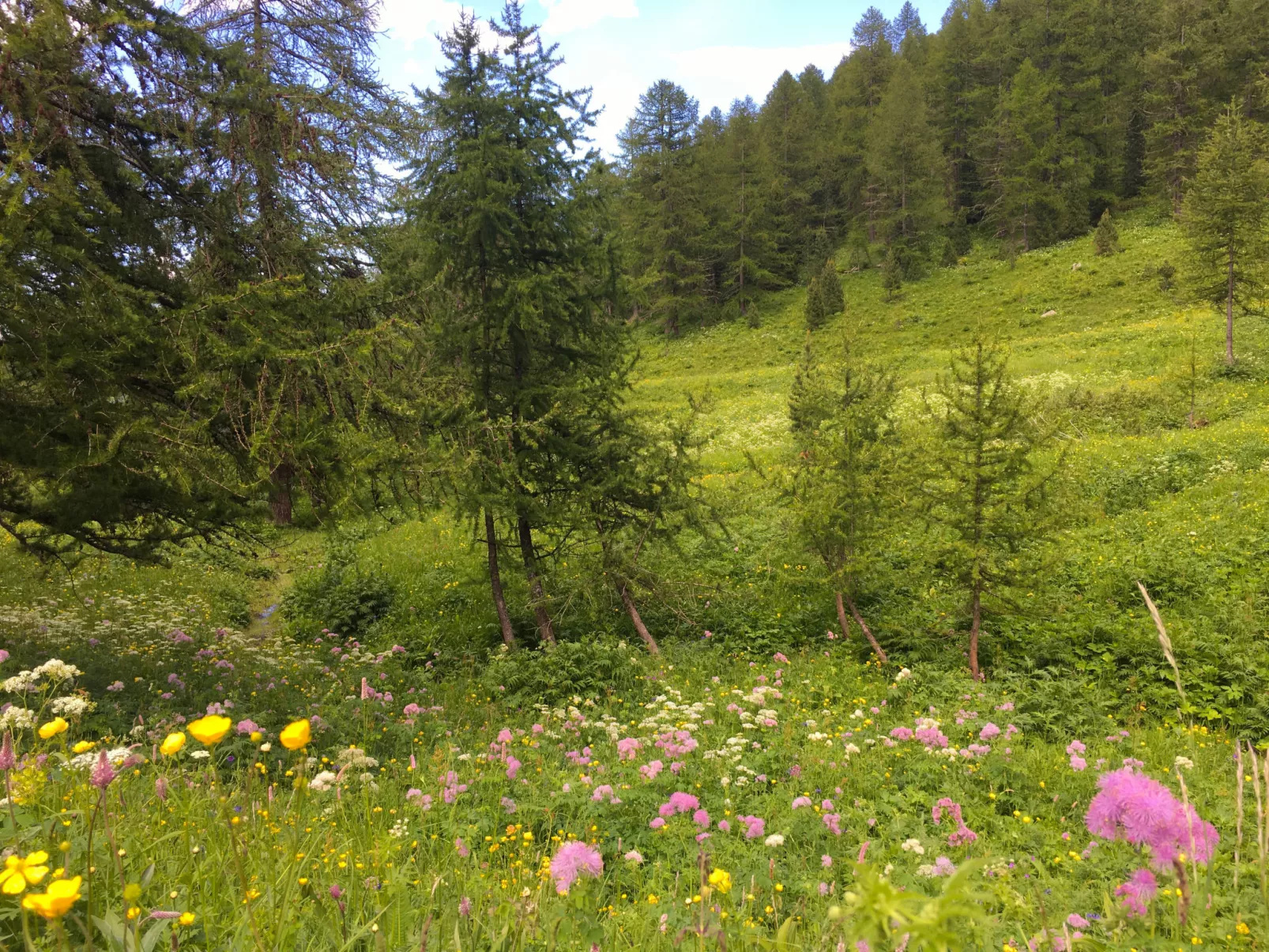 Casot Brusa-Omgeving