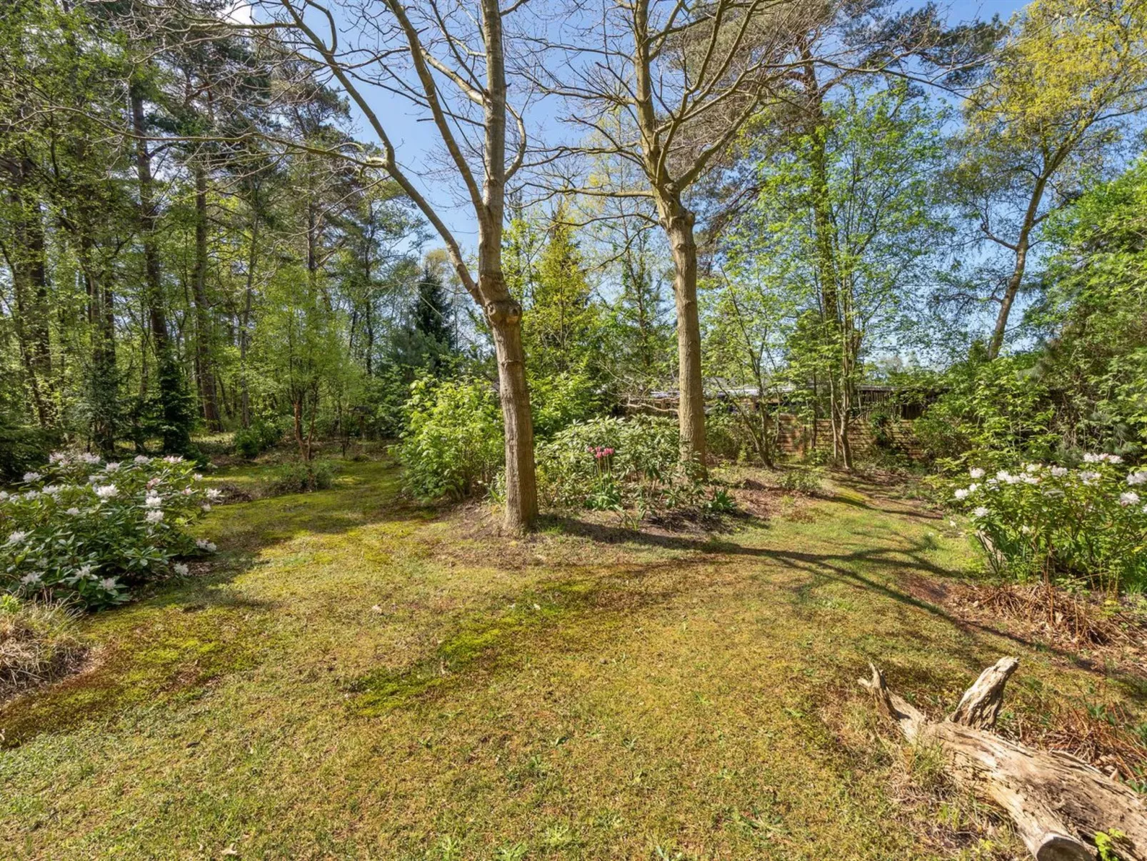 "Eweline" - 75m from the sea-Buiten