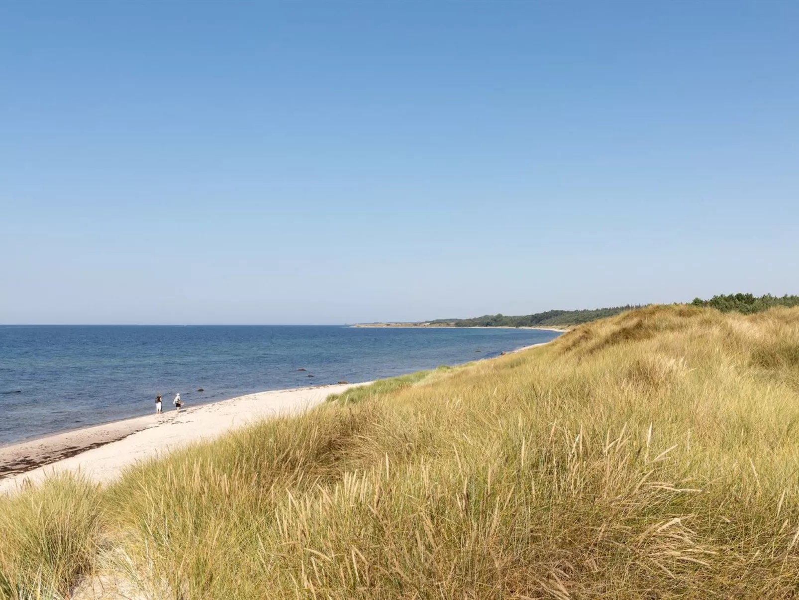"Chenoa" - 200m from the sea-Buiten