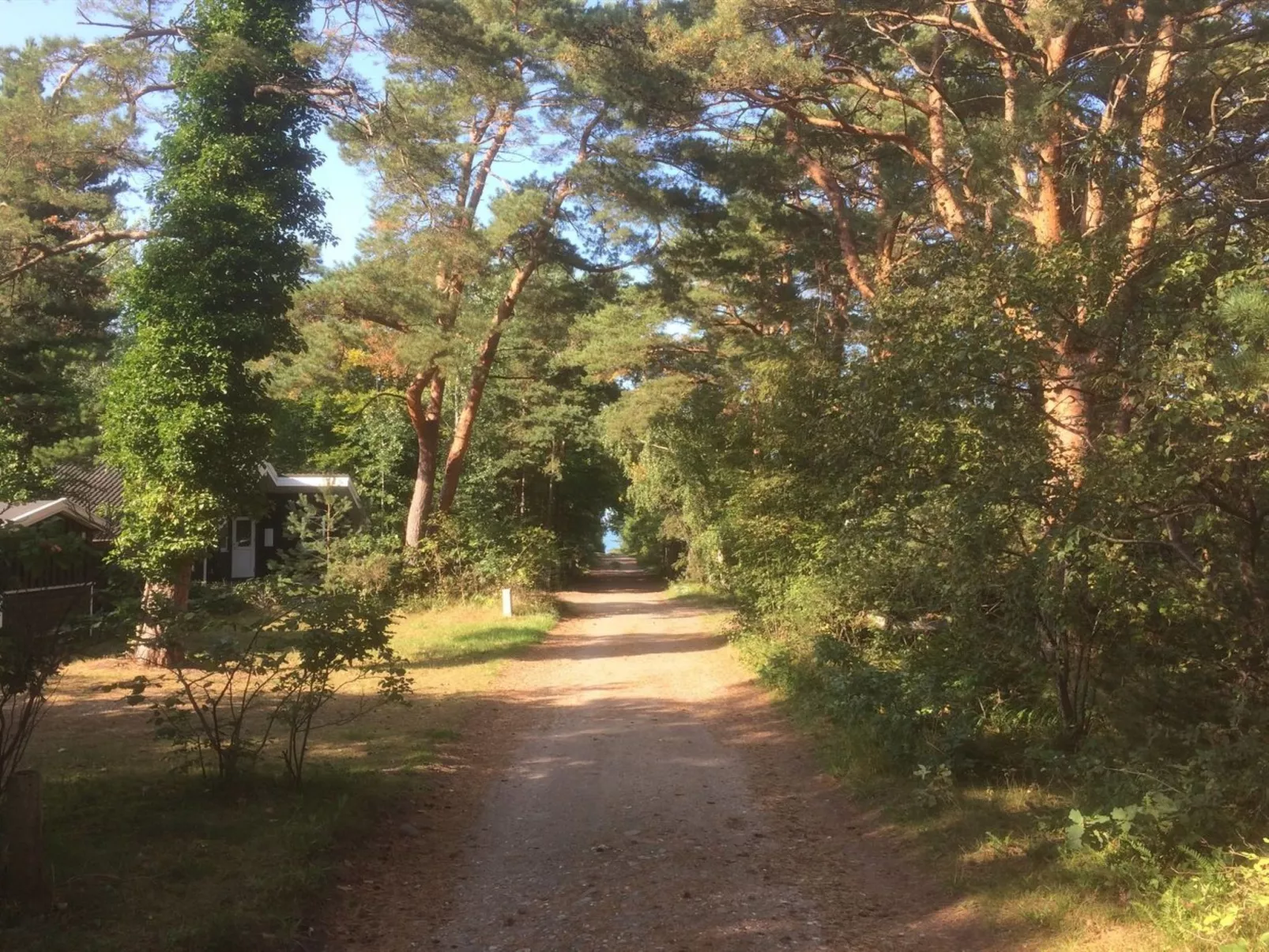 "Nonna" - 275m from the sea-Buiten
