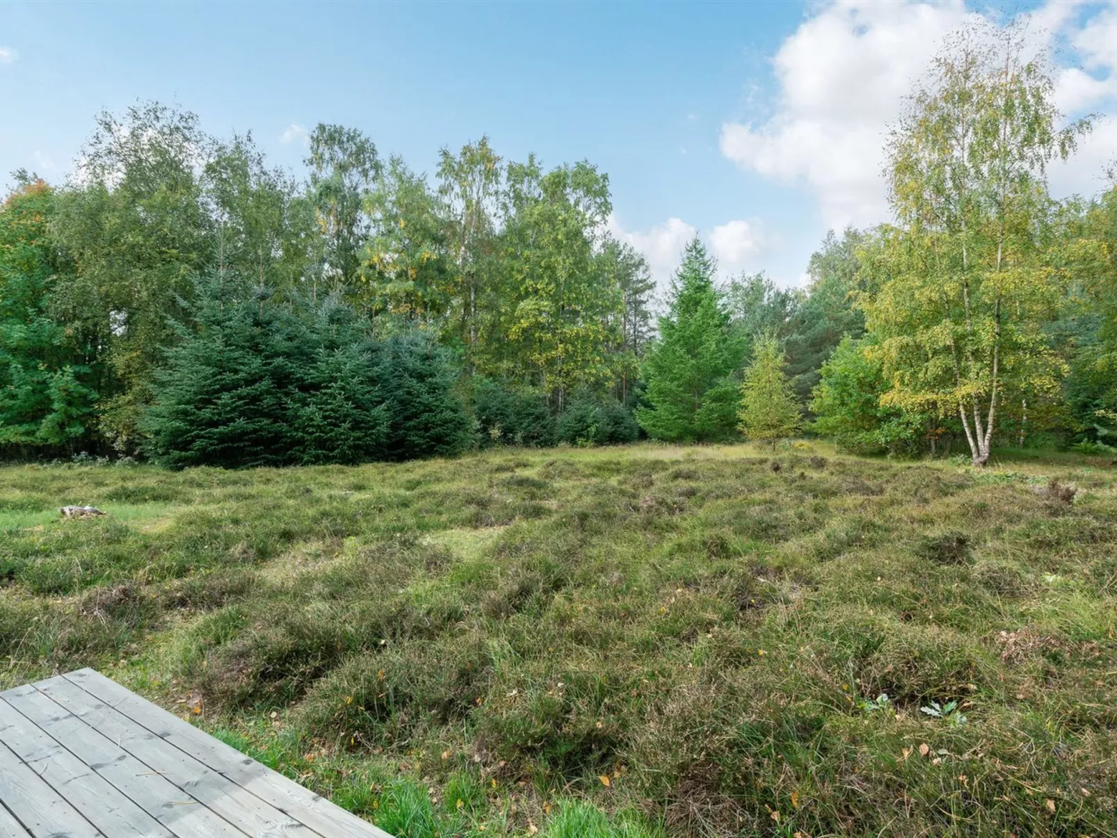 "Esteri" - 800m from the sea-Buiten