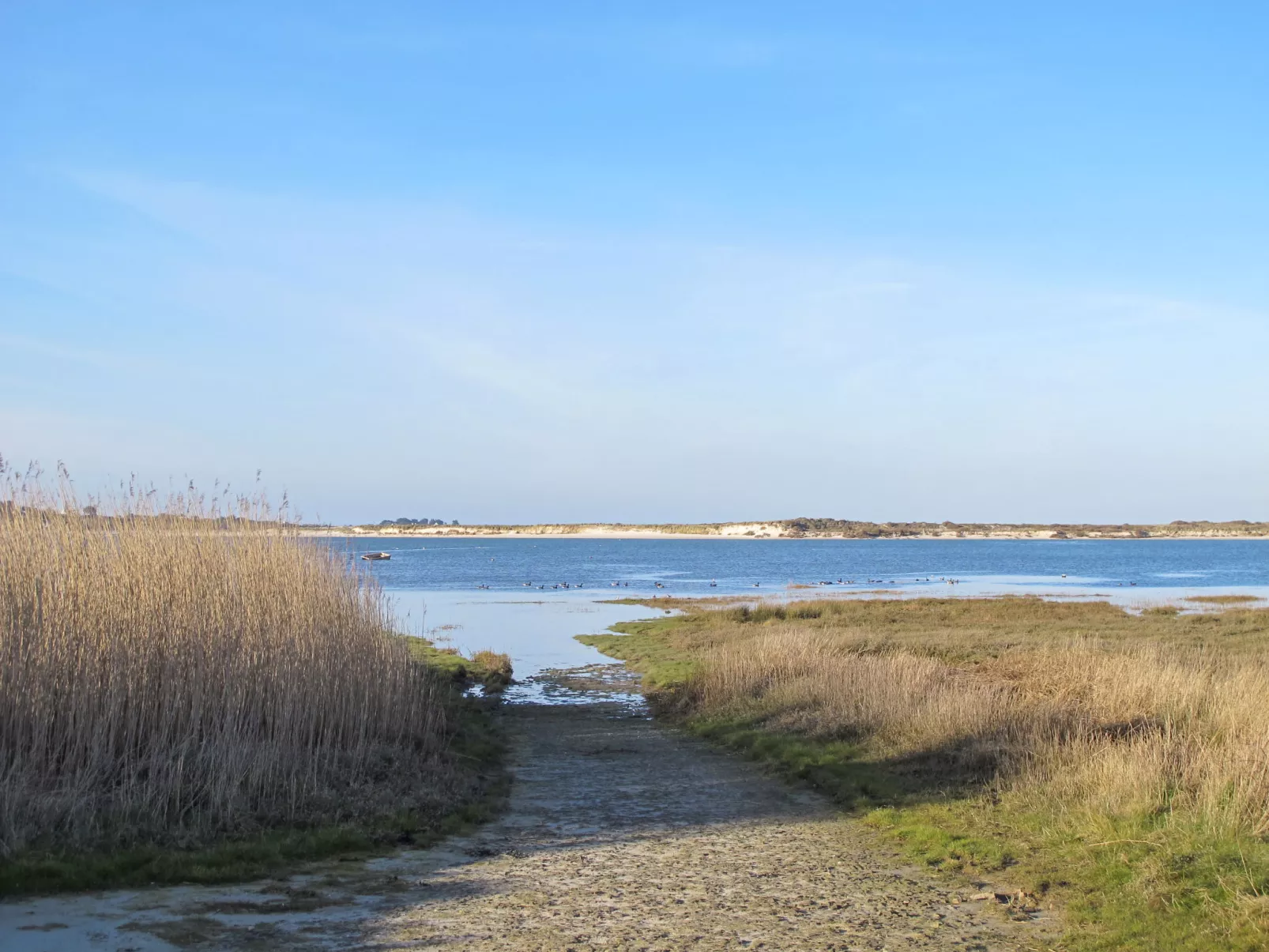 La Charmeuse-Binnen