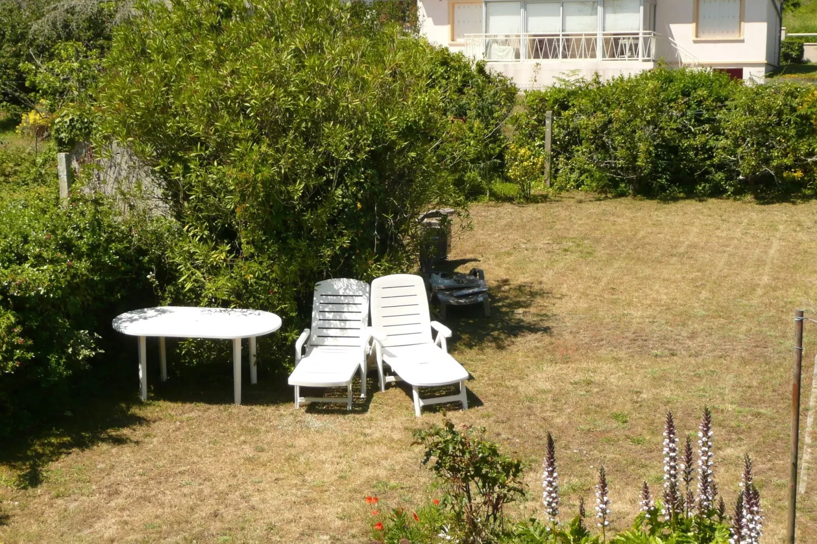 Ferienhaus mit Meerblick Camaret-sur-Mer-Tuinen zomer