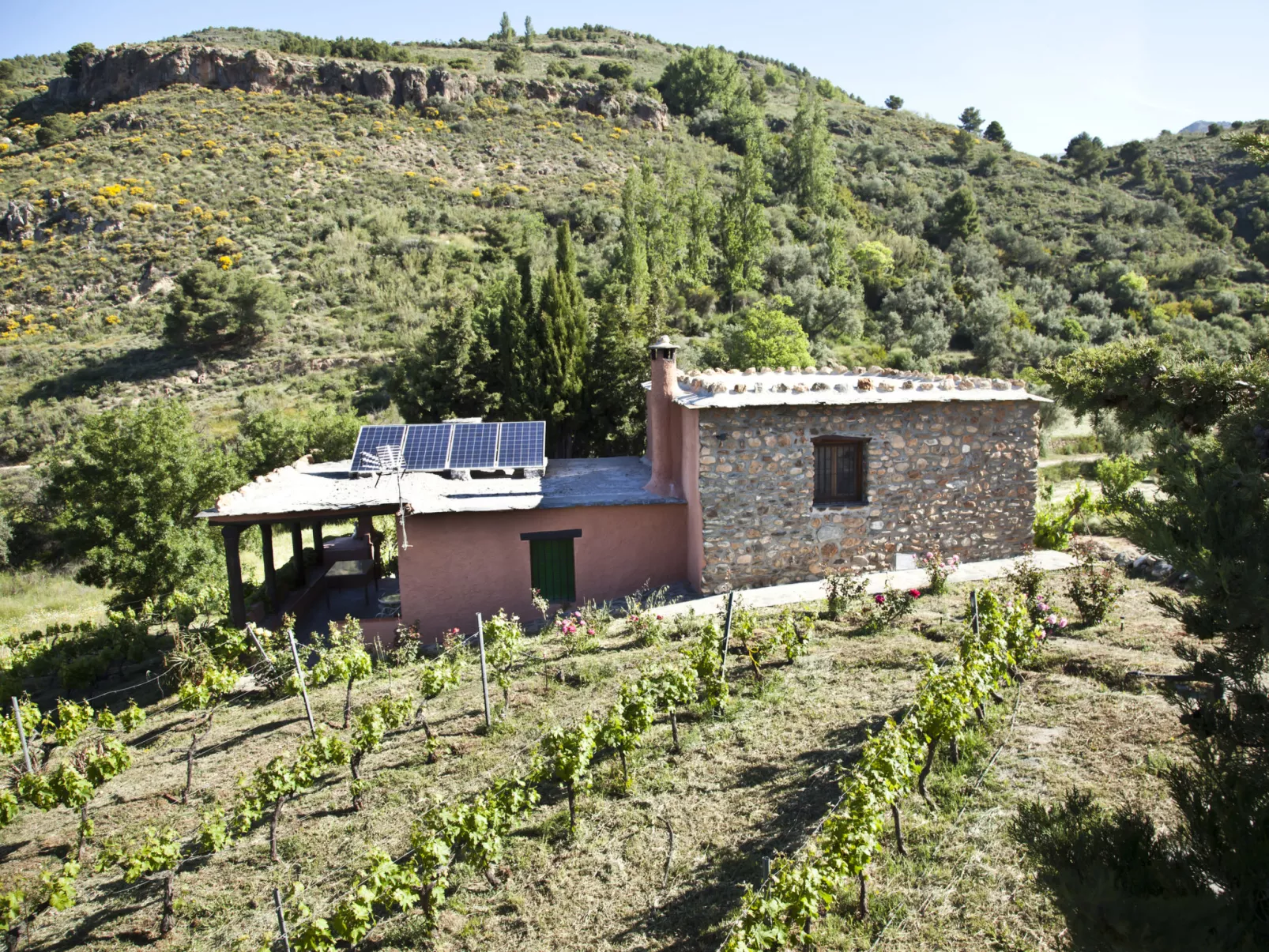 El Cerrillo - Cerro Negro-Binnen