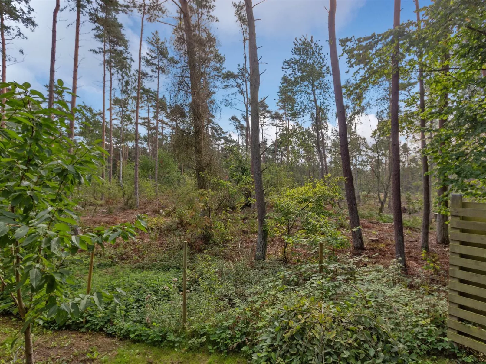 "Unker" - 800m from the sea-Buiten
