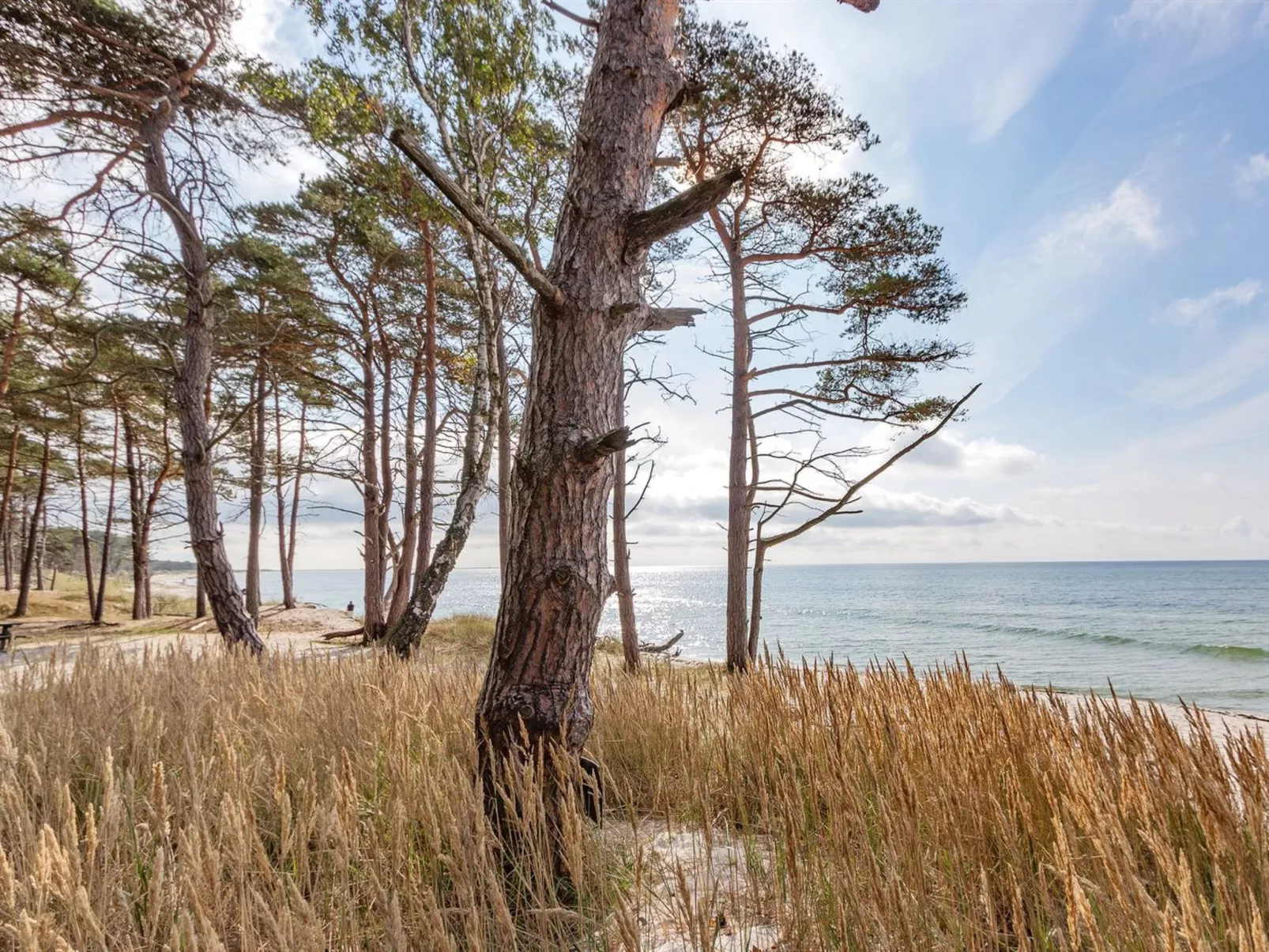 "Unker" - 800m from the sea-Buiten