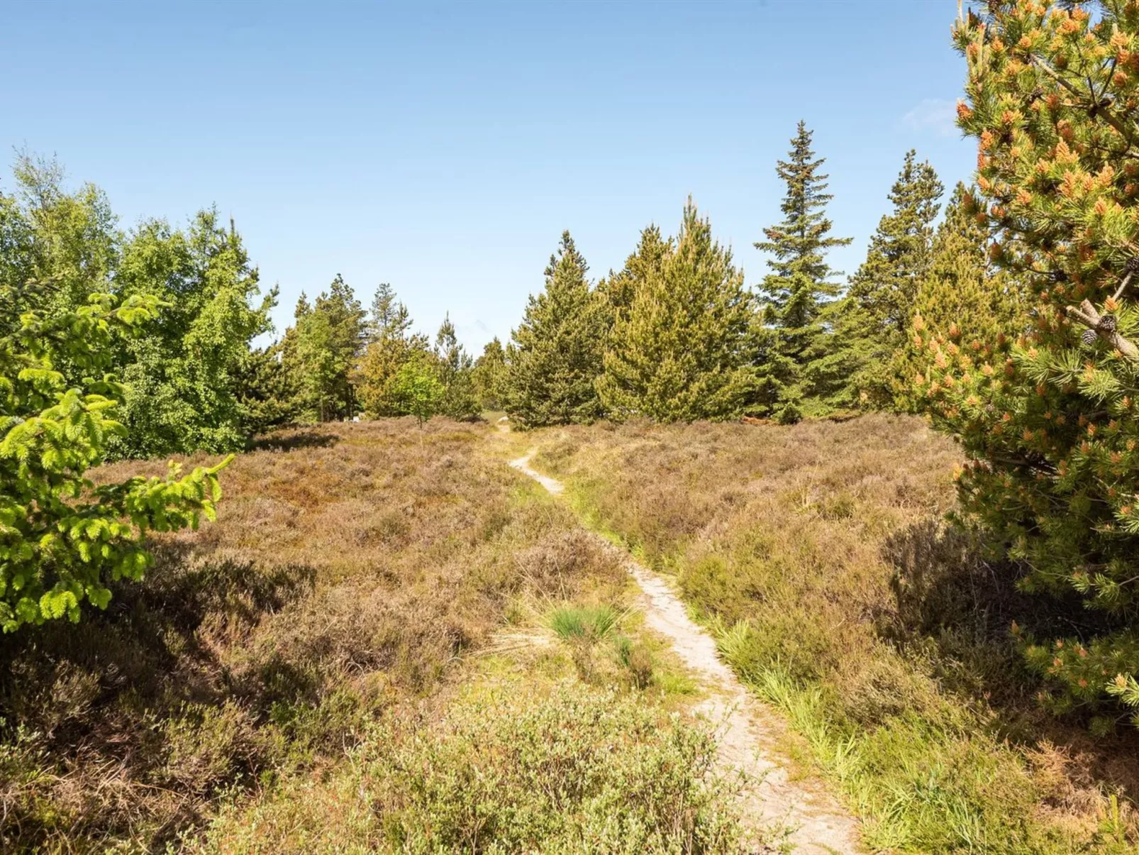 "Atti" - 2.5km from the sea in Western Jutland-Buiten