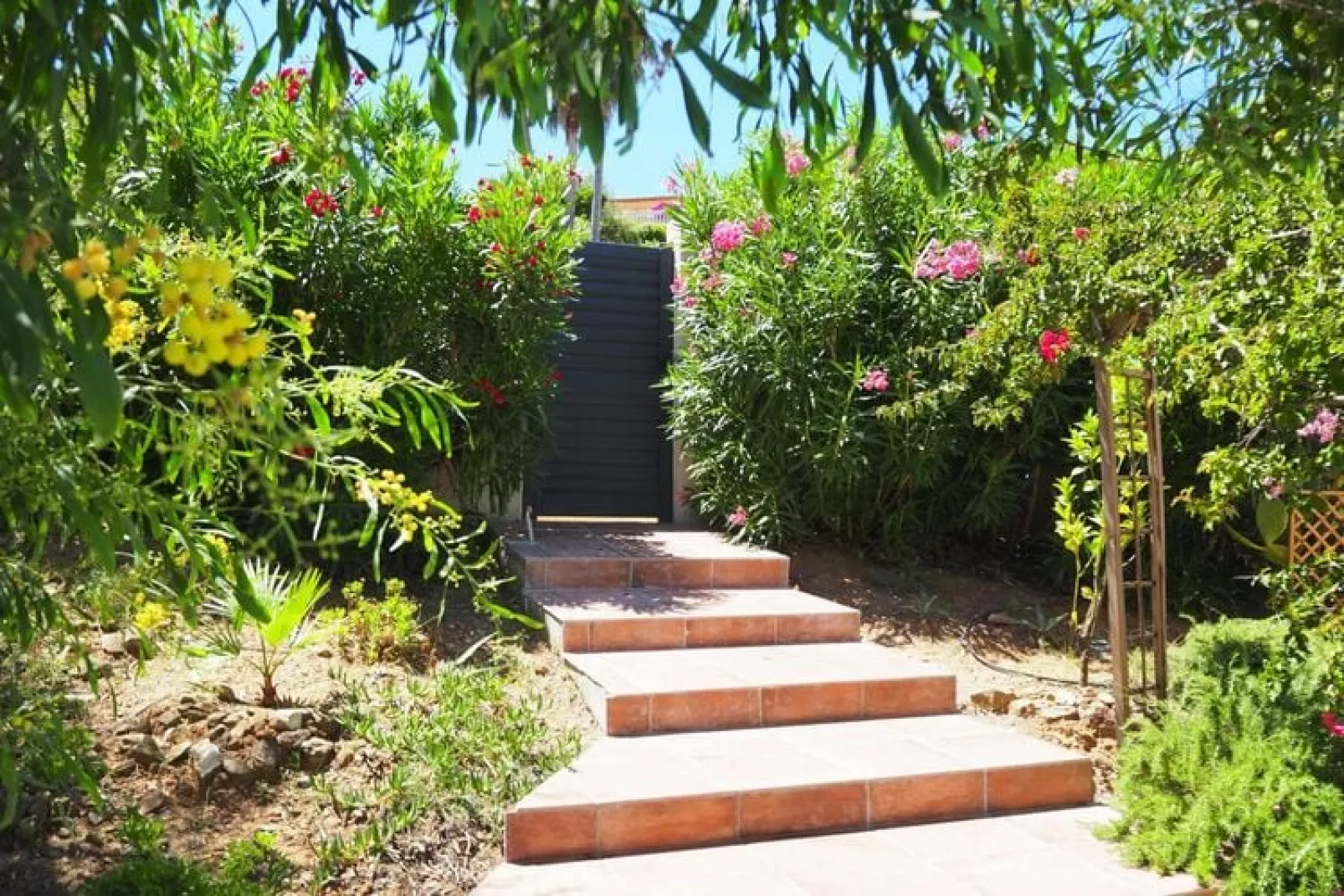 Villa in Cavalaire-sur-Mer-Tuinen zomer