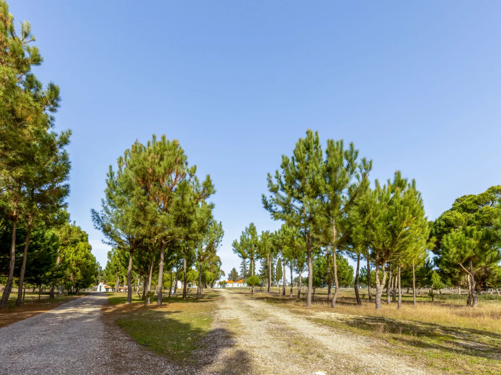 Quinta de Santa Emilia (V1)-Buiten