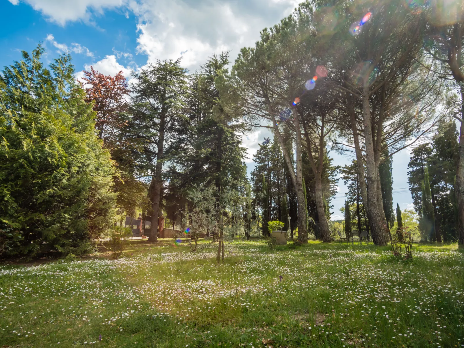 Villa Le Pine-Buiten