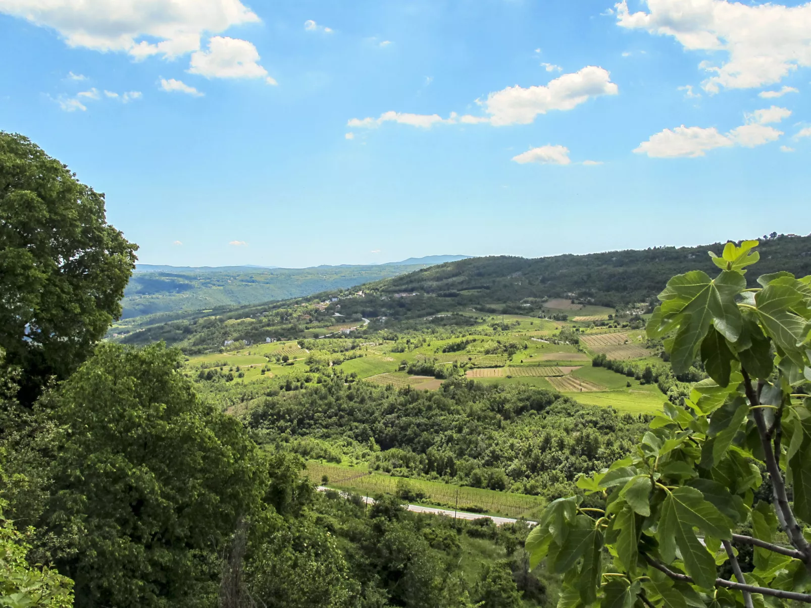 Carlo-Omgeving