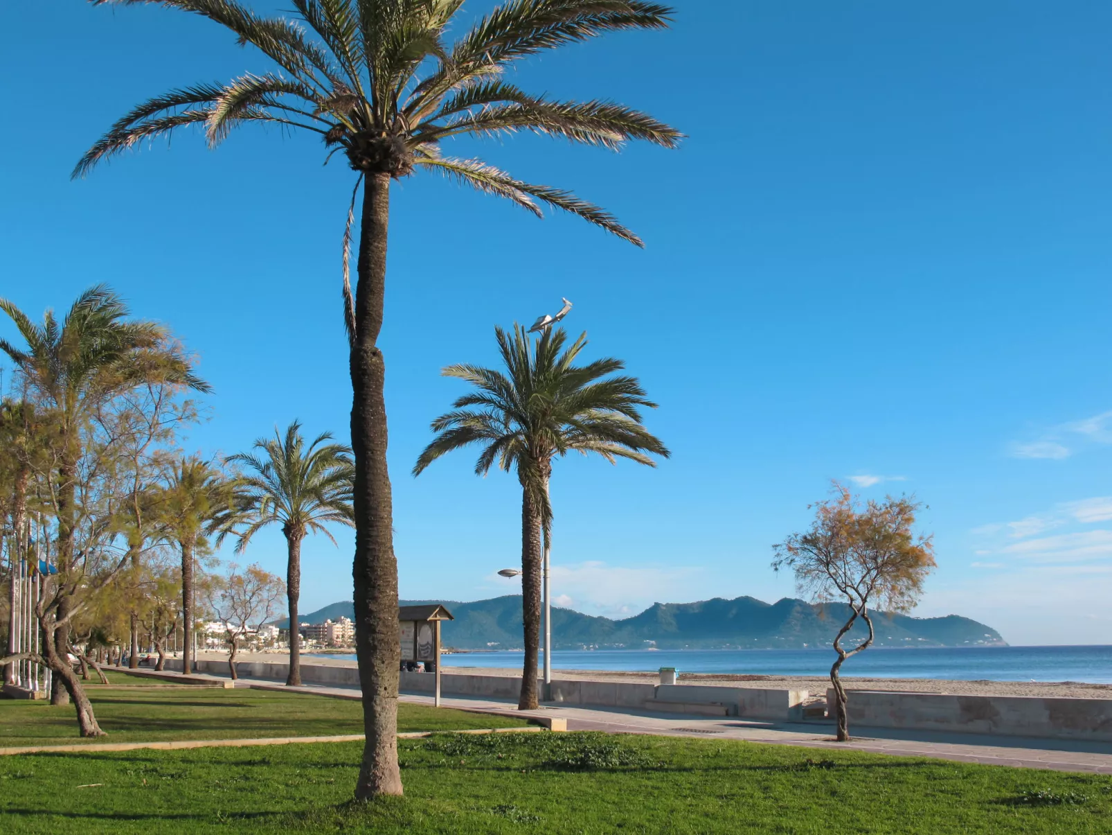 S'Illot-Cala Morlanda-Omgeving