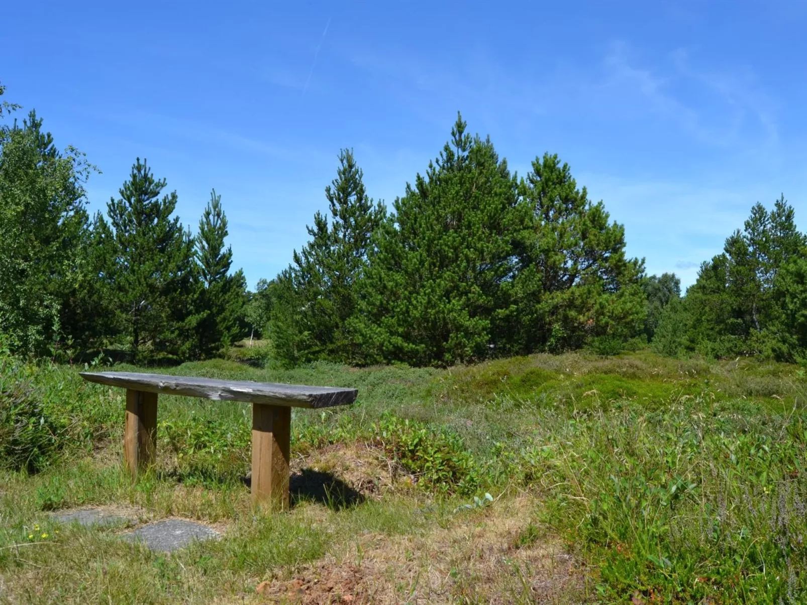 "Redward" - 1km from the sea-Buiten