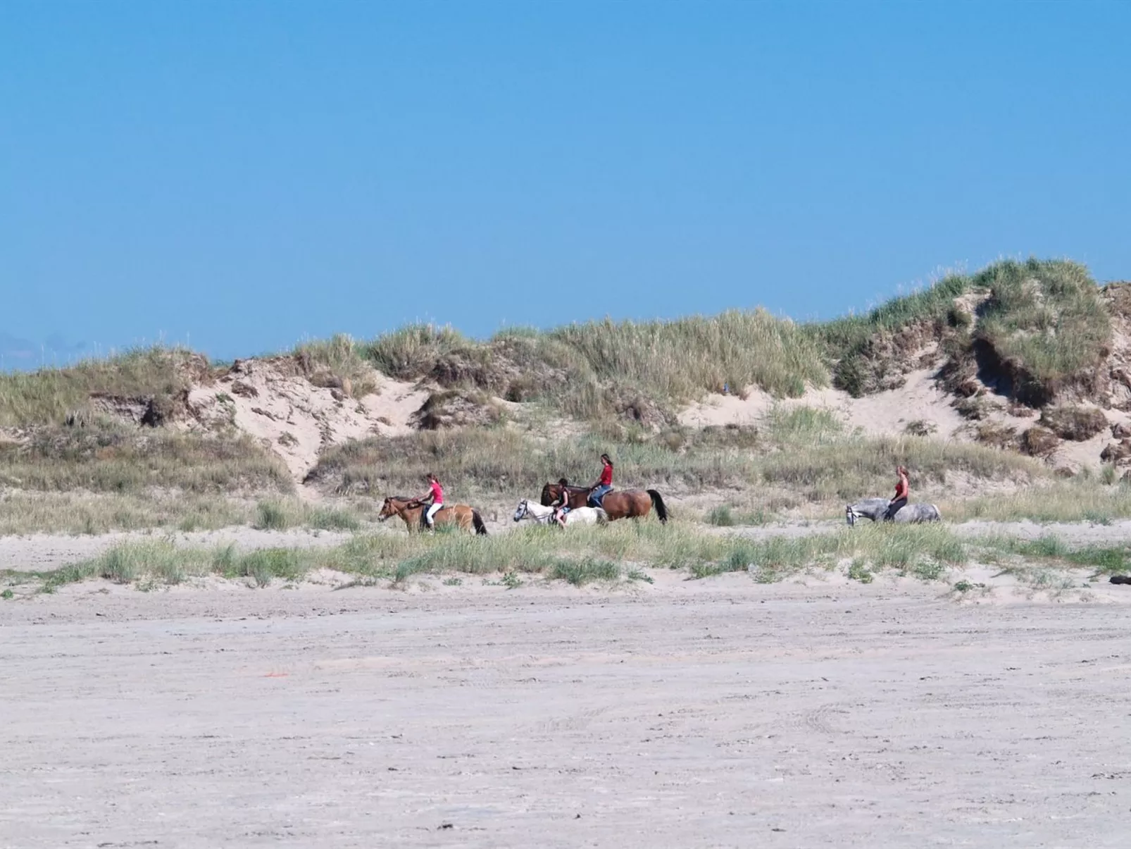 "Elise" - 800m from the sea-Buiten