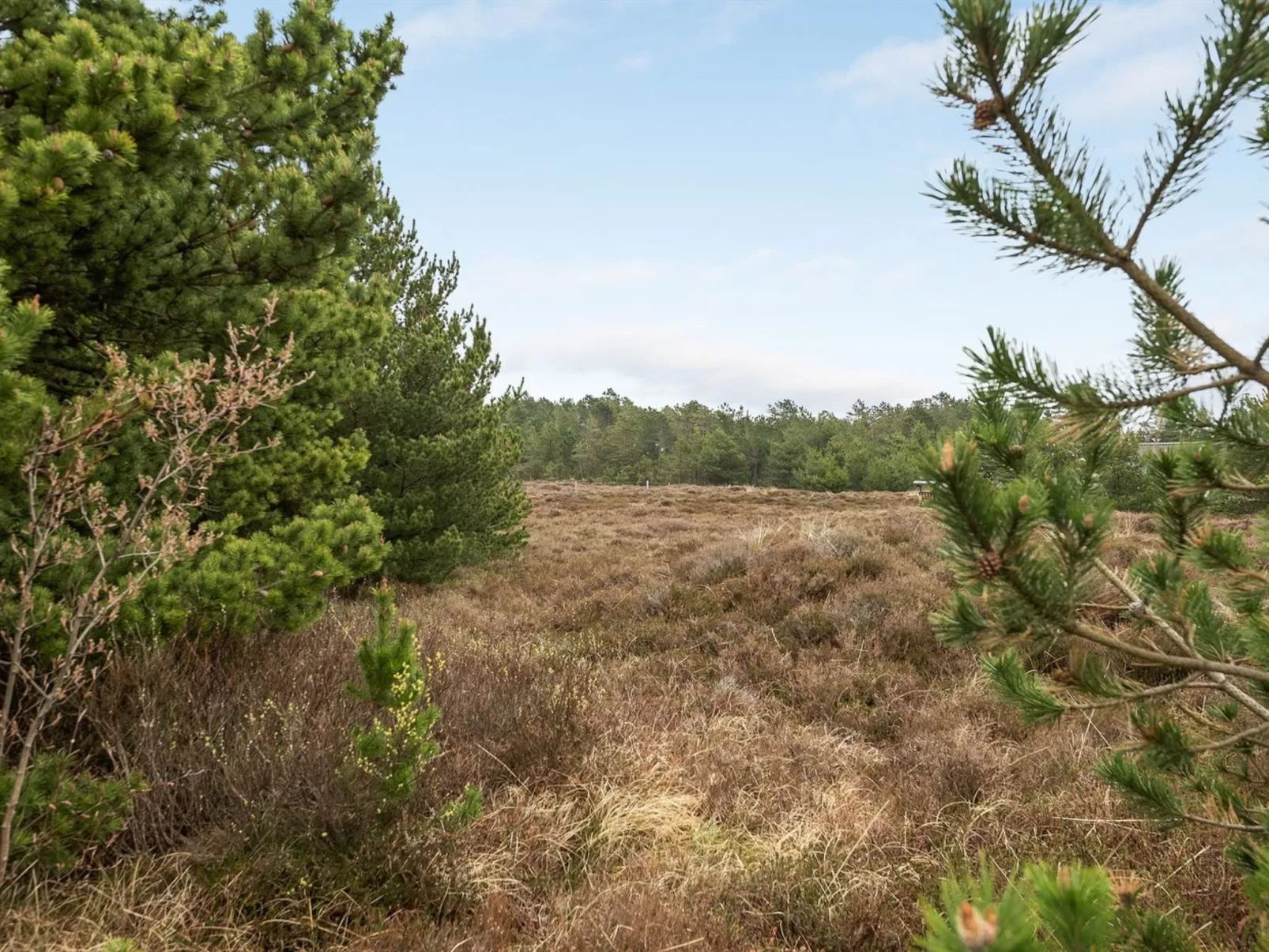 "Artan" - 2.6km from the sea-Binnen