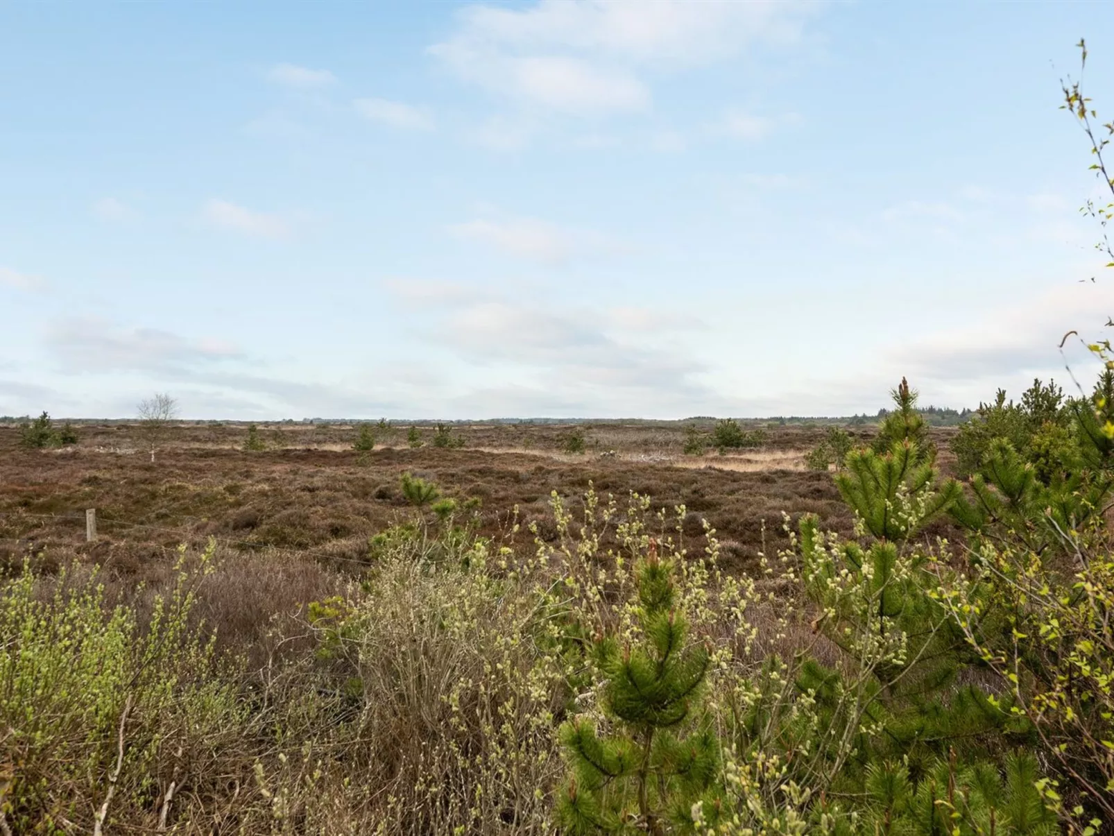 "Artan" - 2.6km from the sea-Binnen