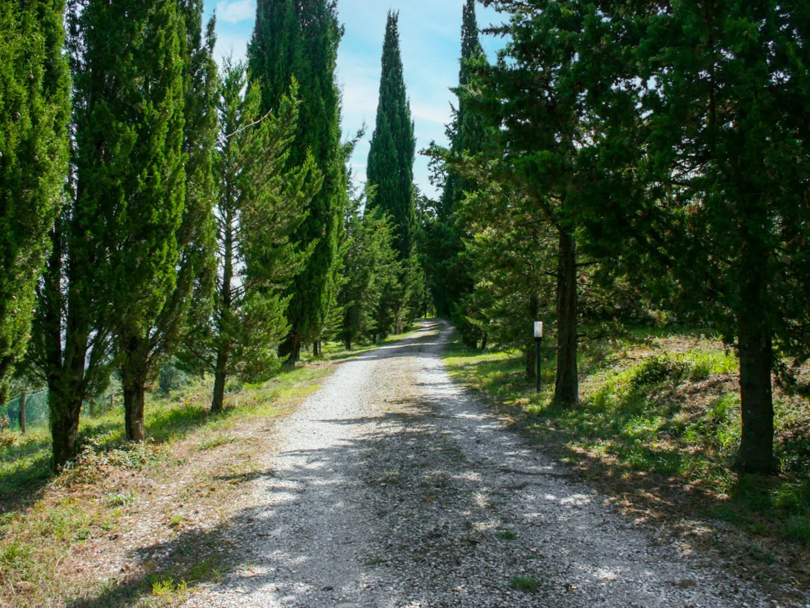 A spasso tra gli ulivi-Buiten