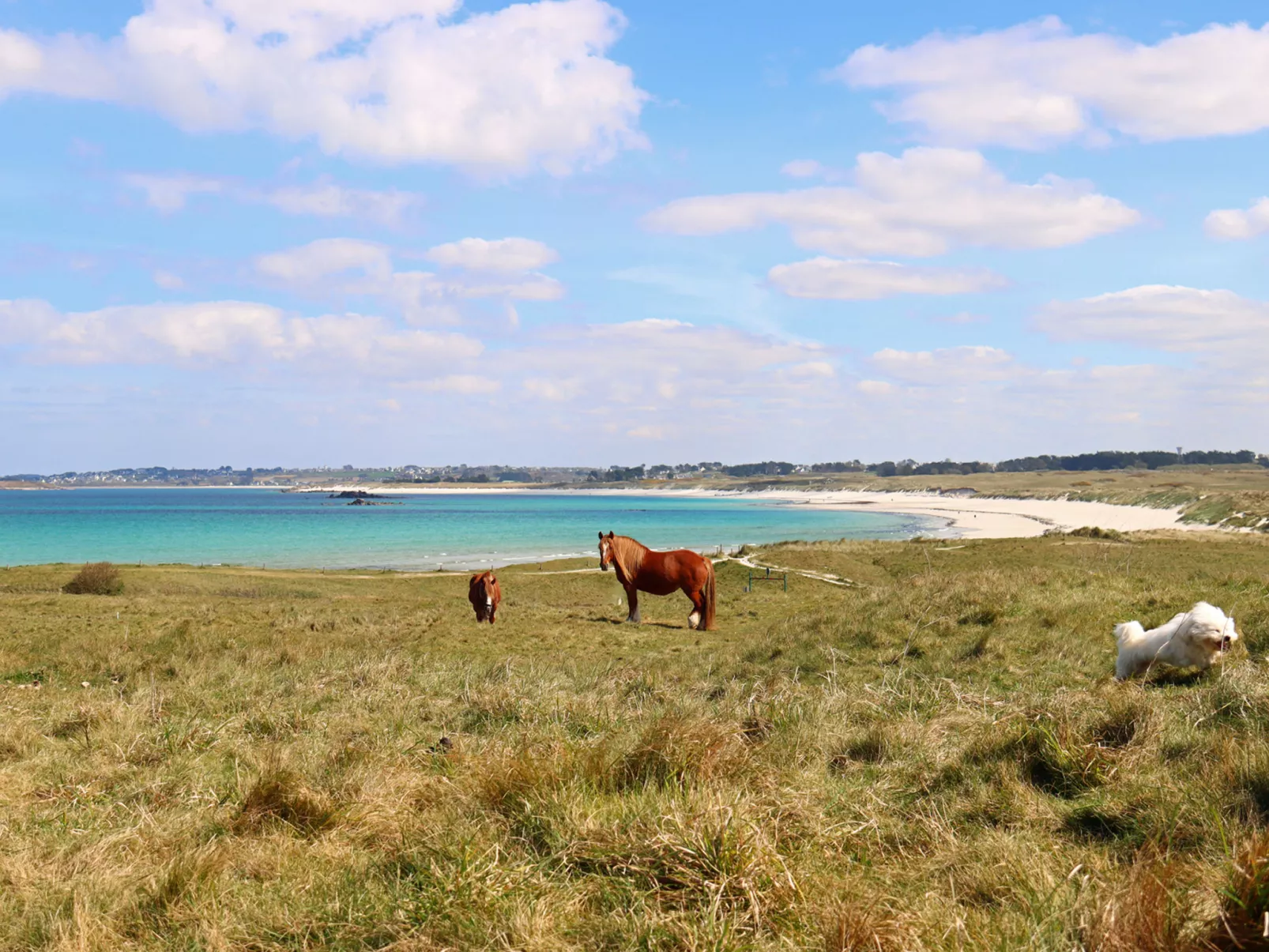 La Ferme-Omgeving