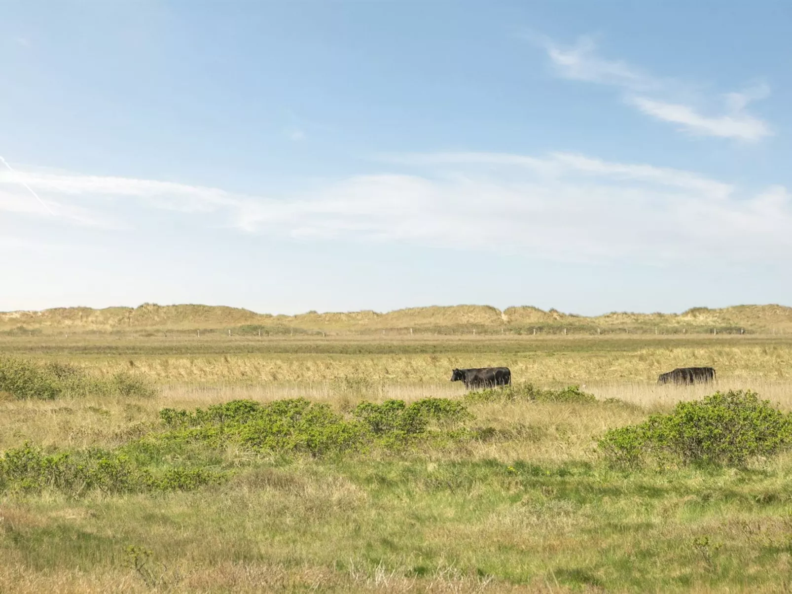 "Hermoth" - 300m from the sea-Buiten