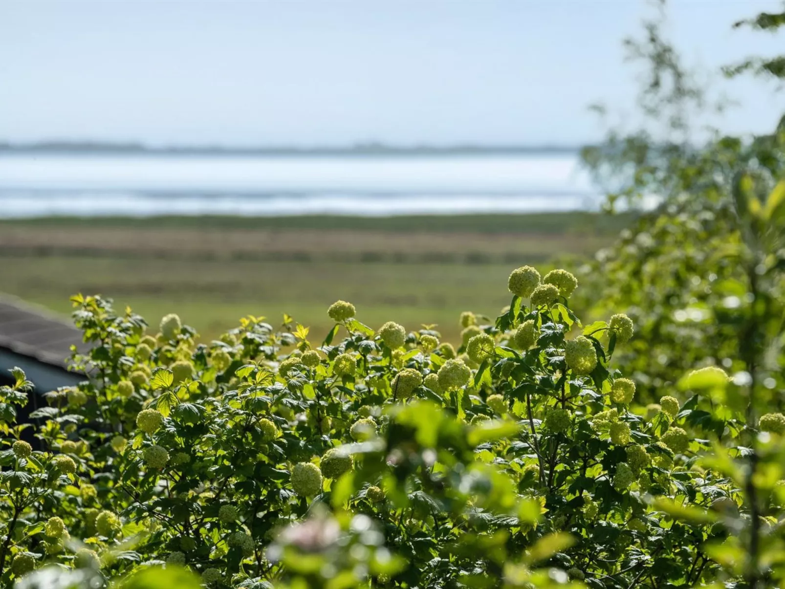 "Iiro" - 2.5km from the sea-Buiten