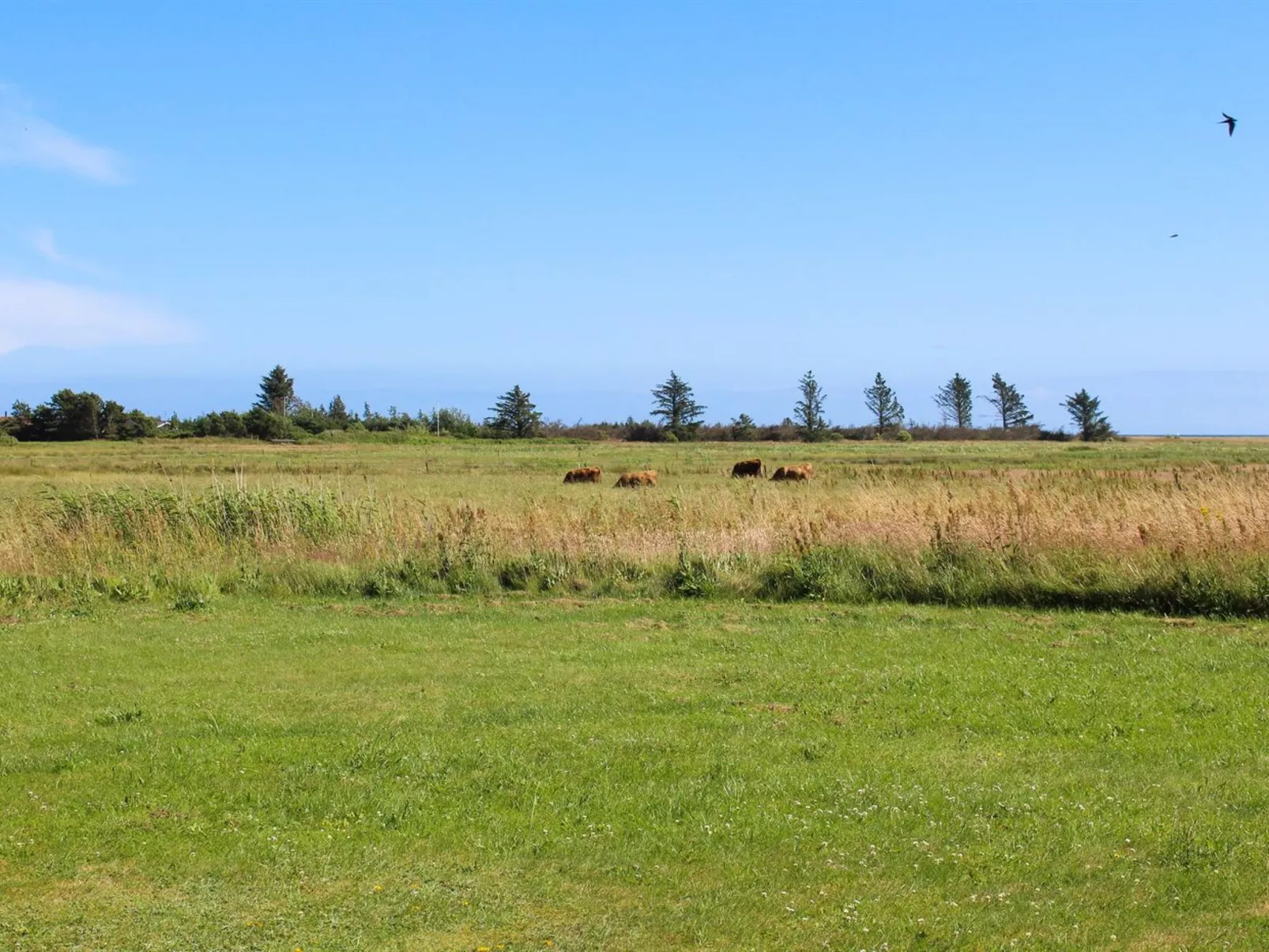 "Calina" - 300m from the sea-Buiten