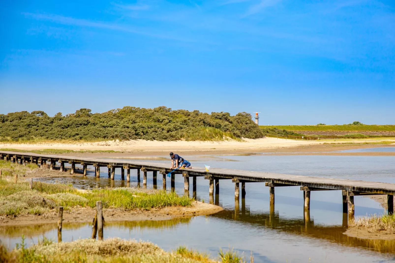 Beach Resort Nieuwvliet-Bad 5-Gebieden zomer 1km