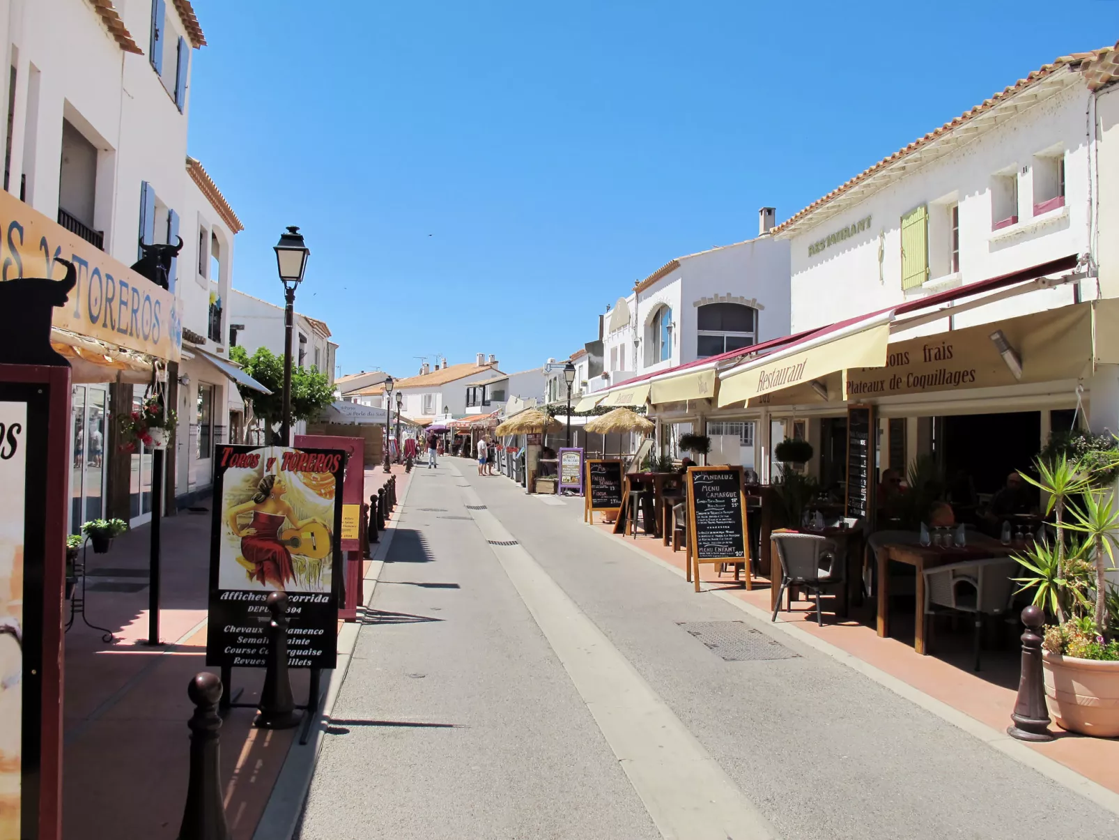 Le Soleil Camarguais-Omgeving