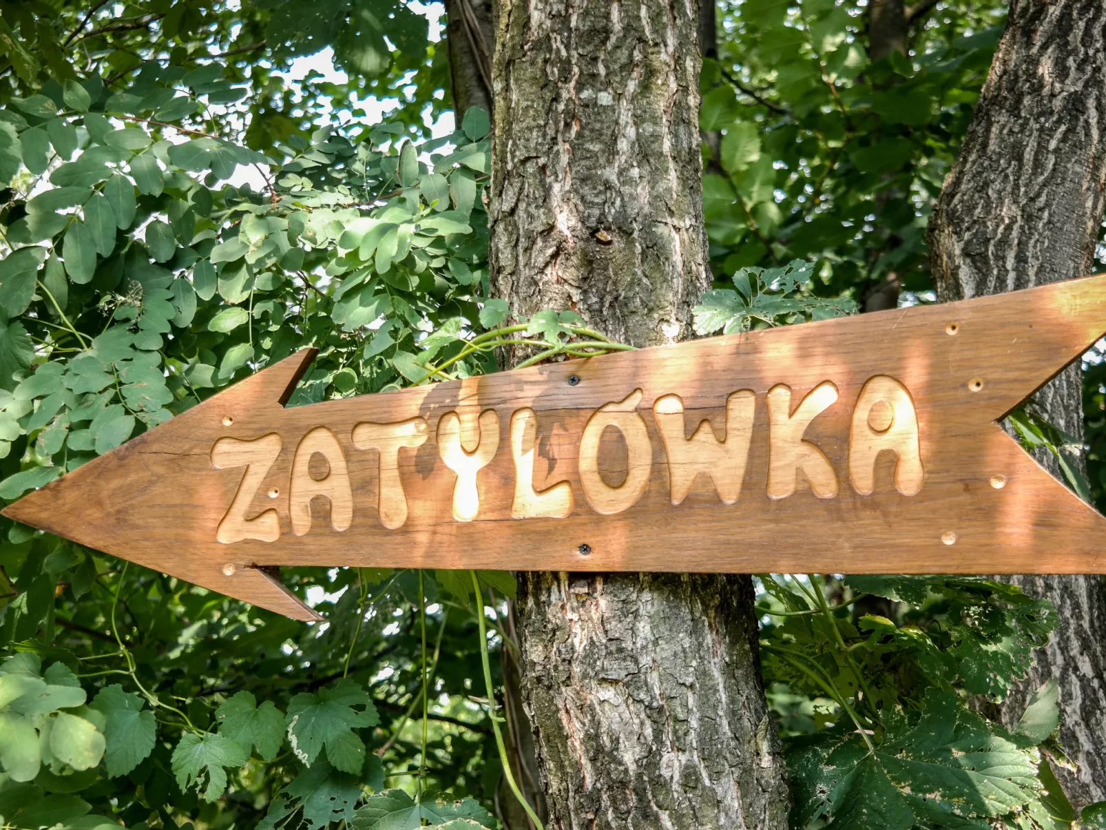 Zatylówka Dom na Wyspie-Binnen