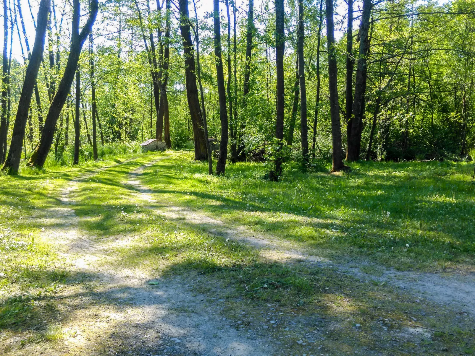 Zatylówka-Buiten