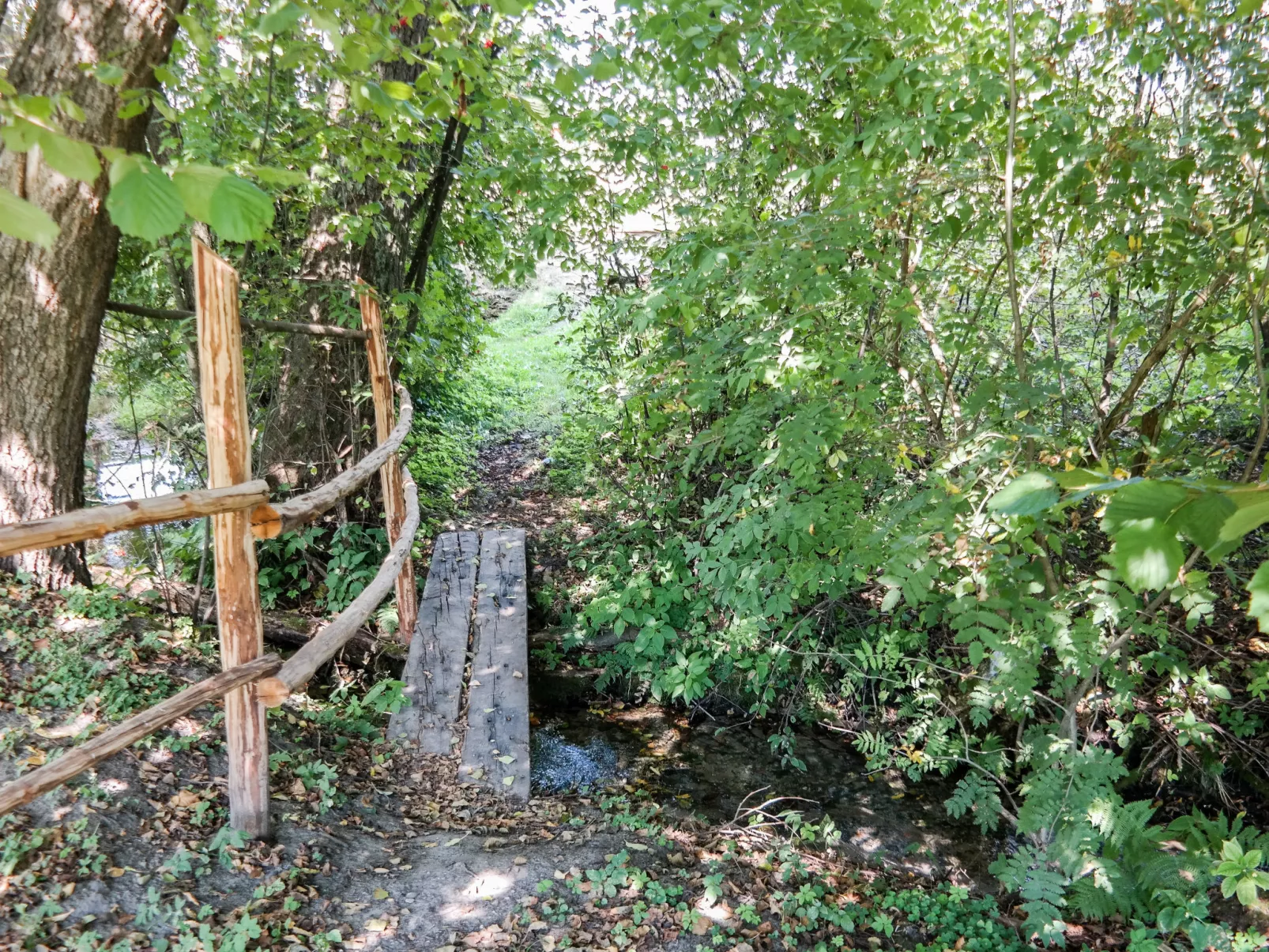 Zatylówka Dom na Wyspie-Buiten