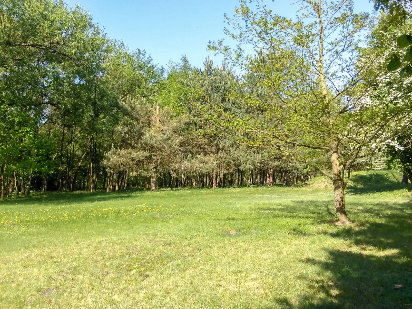 Zatylówka Dom na Wyspie-Buiten