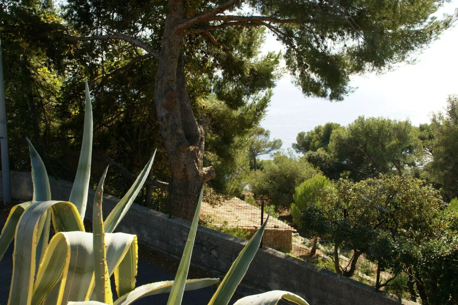 Villa Carqueiranne-Tuinen zomer